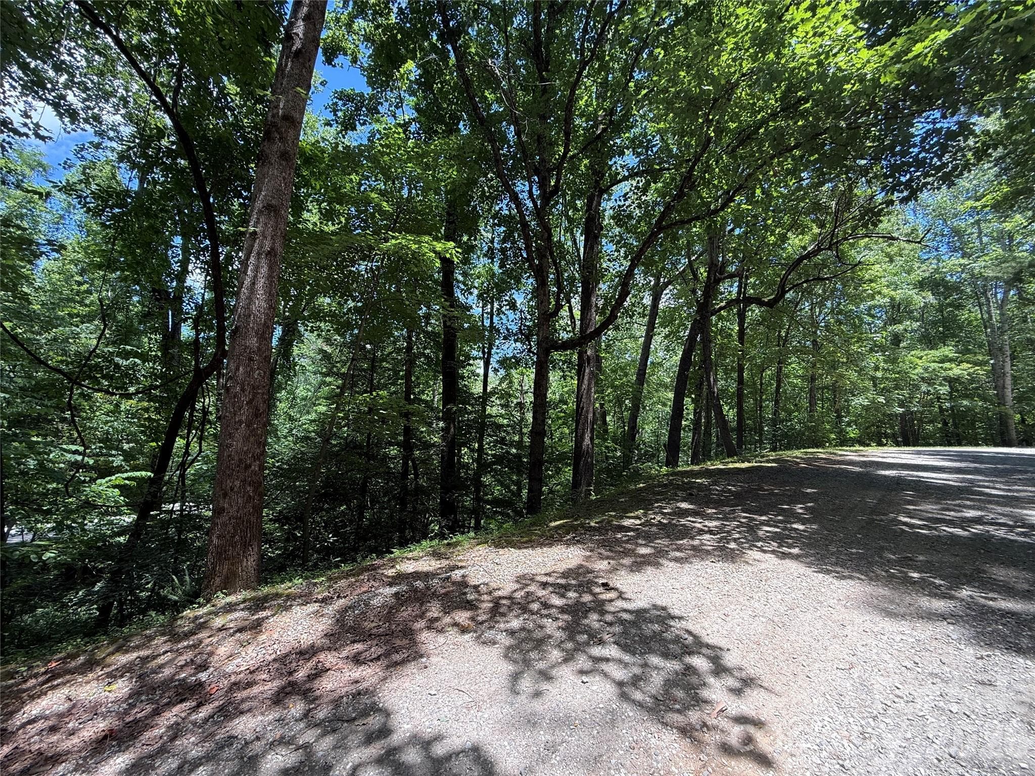 Lot at 1 Rixhaven Drive, Saluda, photo 2 of 13