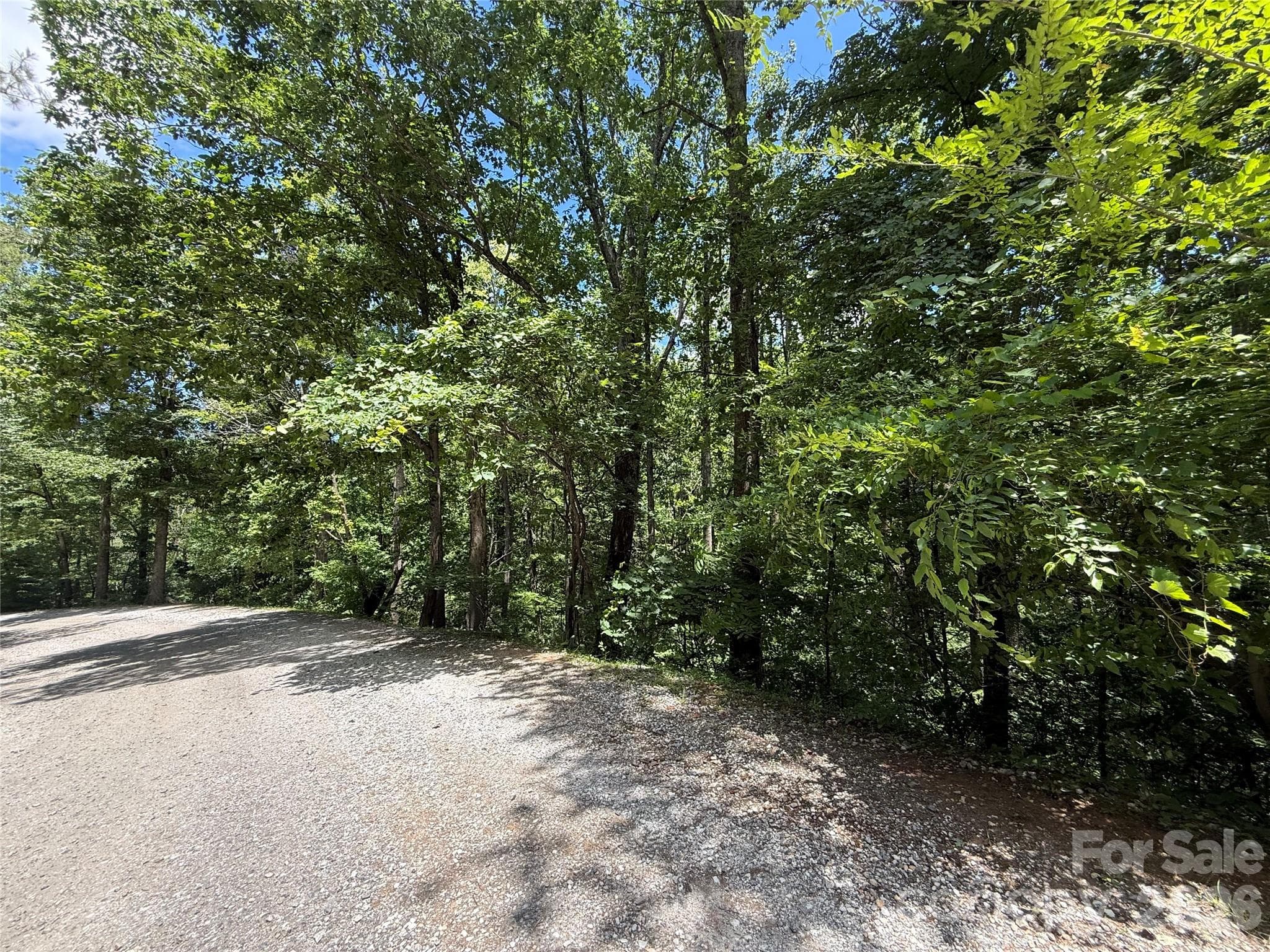 Lot at 1 Rixhaven Drive, Saluda, photo 3 of 13