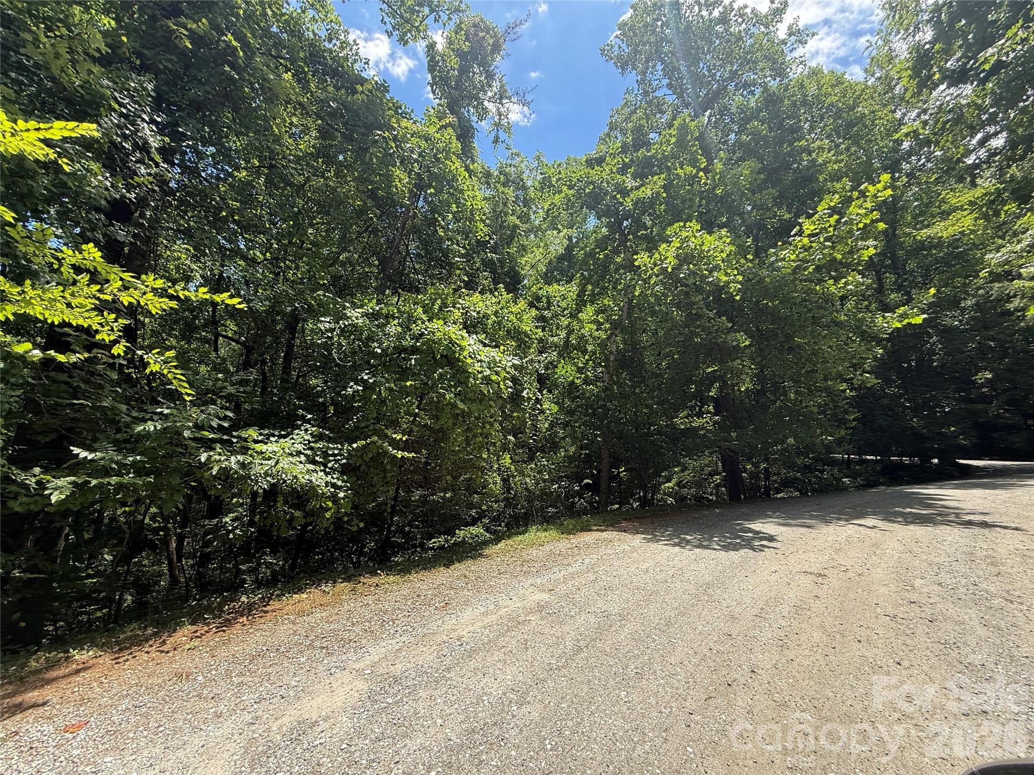 Lot at 1 Rixhaven Drive, Saluda, photo 4 of 13