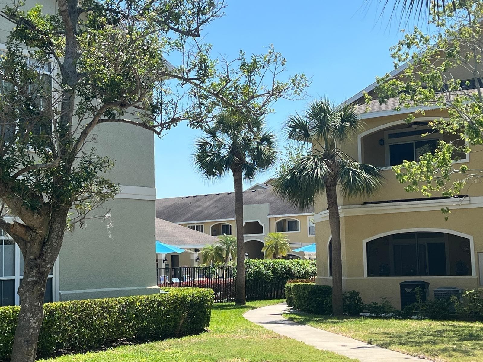 Condominium at 1234 S MISSOURI AVE #316, CLEARWATER, photo 5 of 34