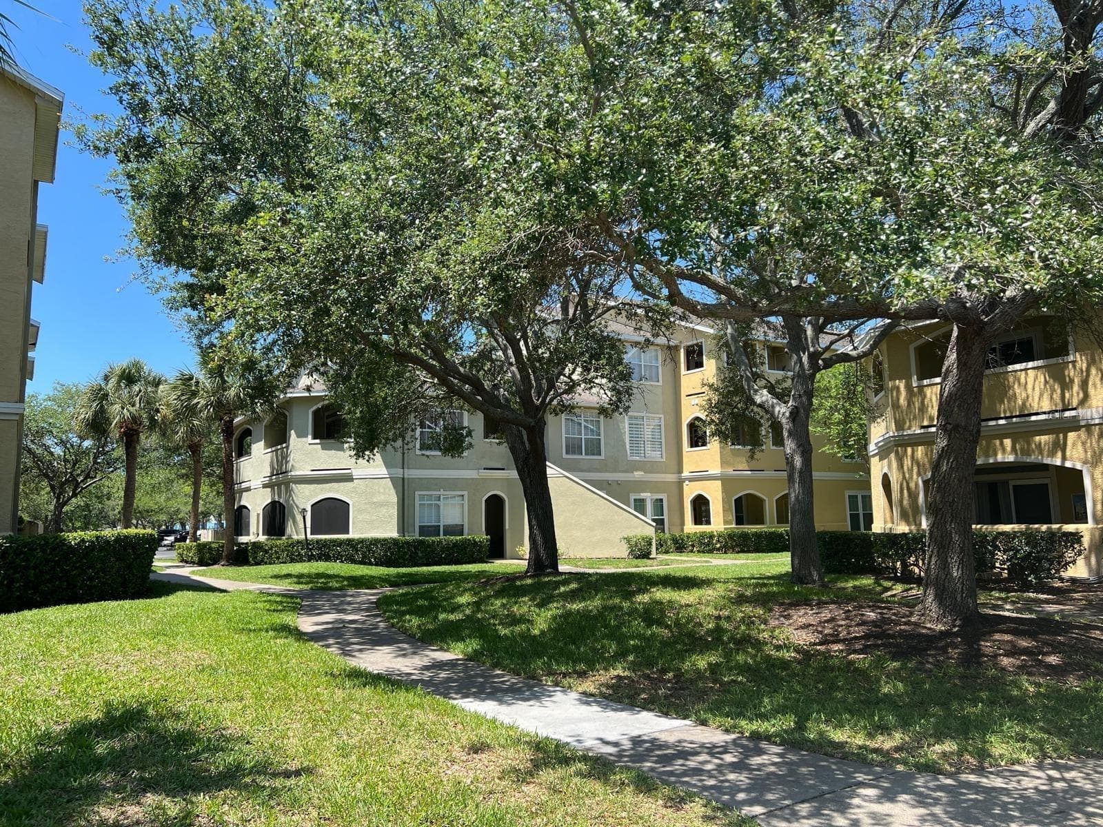 Condominium at 1234 S MISSOURI AVE #316, CLEARWATER, photo 7 of 34