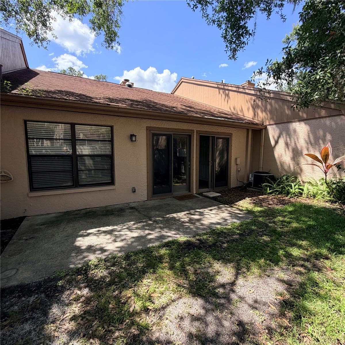 Back patio - 3409 HILL MOOR DR, PALM HARBOR