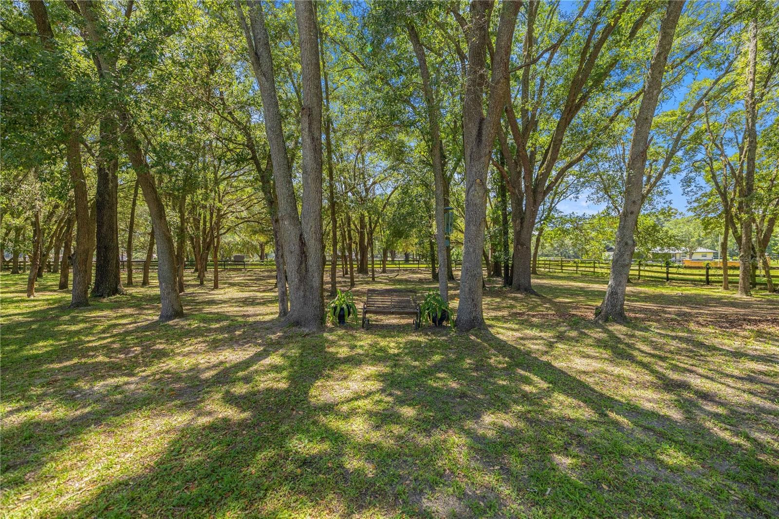 Single Family Residence at 7305 SW 86TH LN, OCALA, photo 45 of 50
