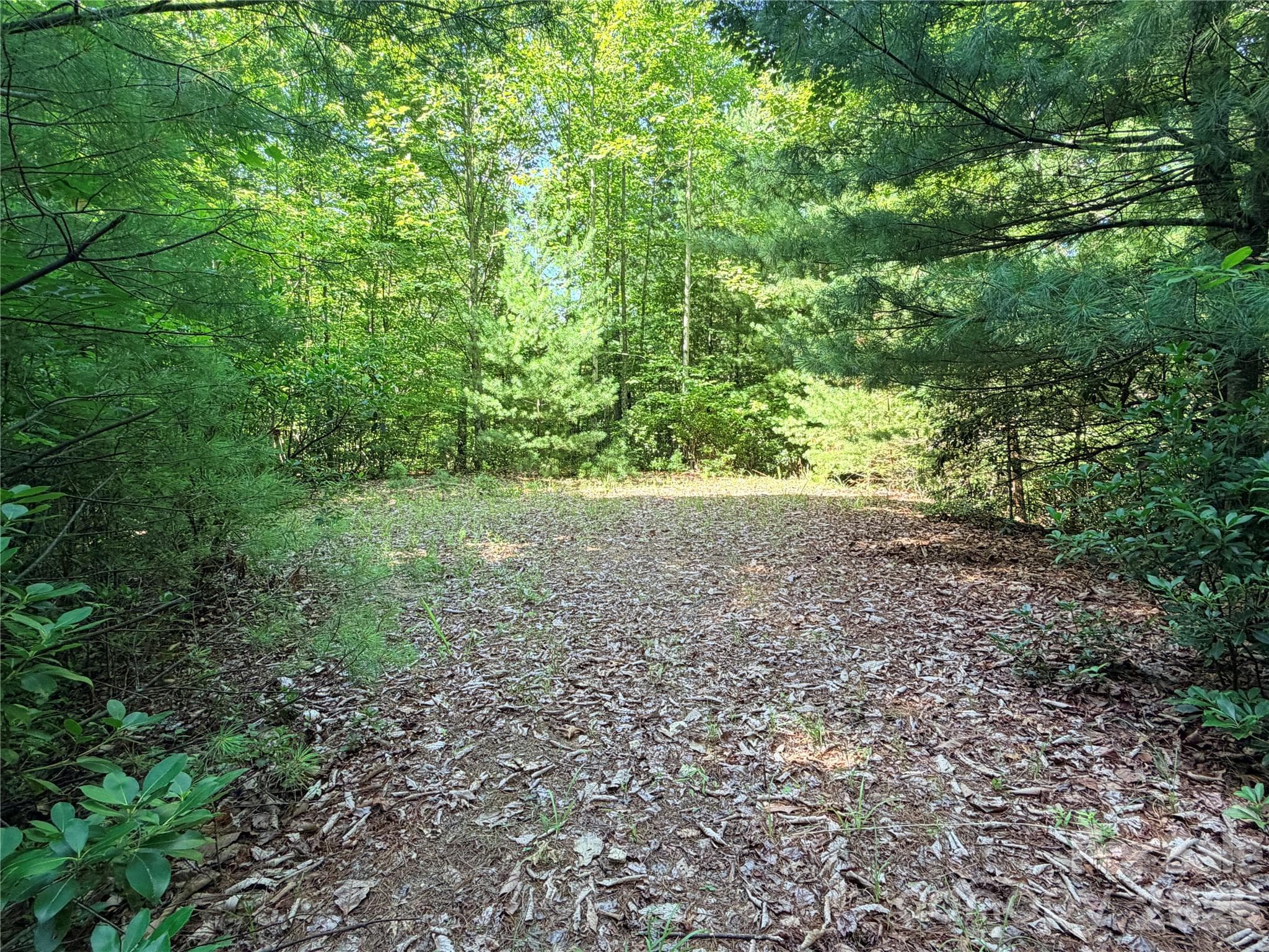 Level Building Site - Lot 171 - TBD Blue Rock Road, Purlear