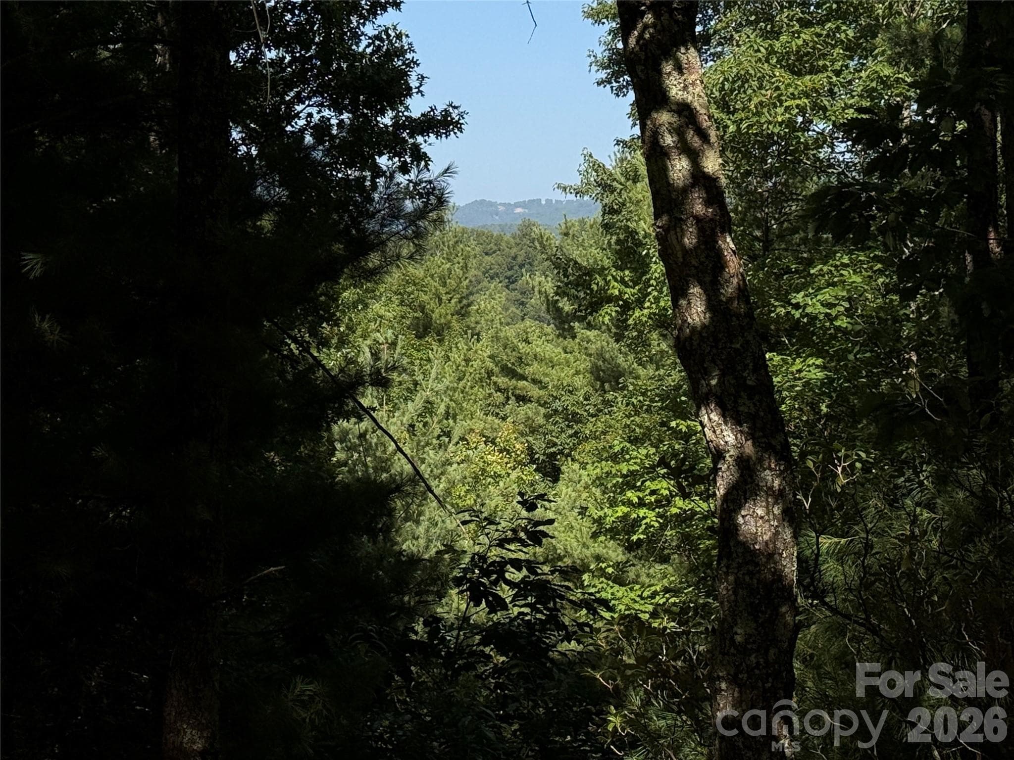 Long Range View Potential from Lot 171 - TBD Blue Rock Road, Purlear