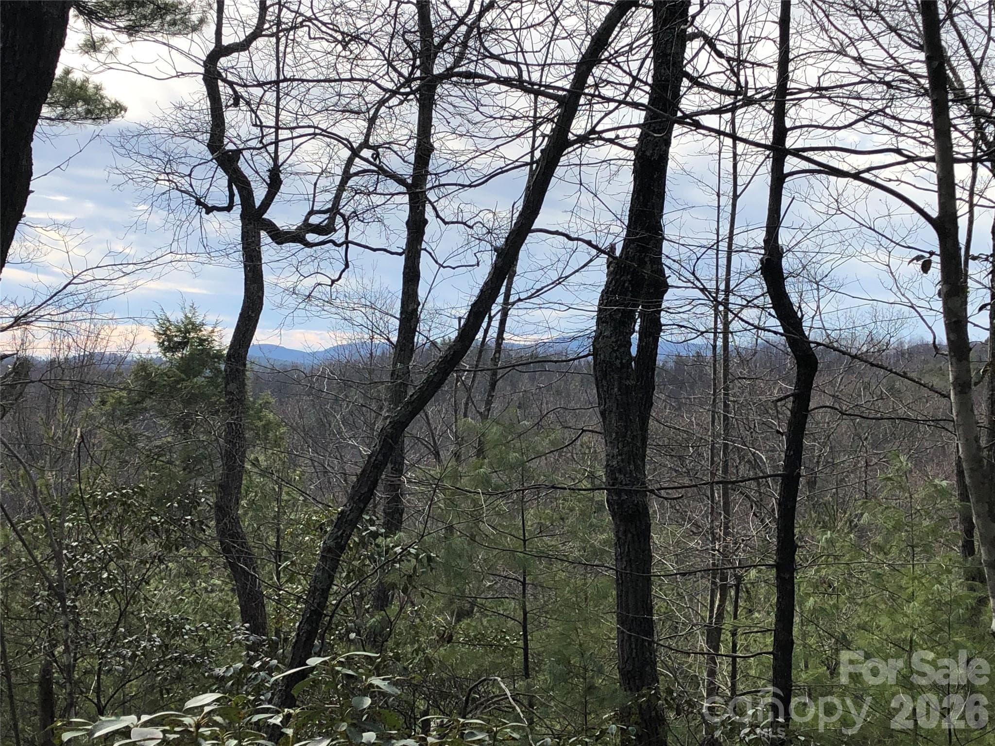 Winter View from Lot 172B - TBD Blue Rock Road, Purlear