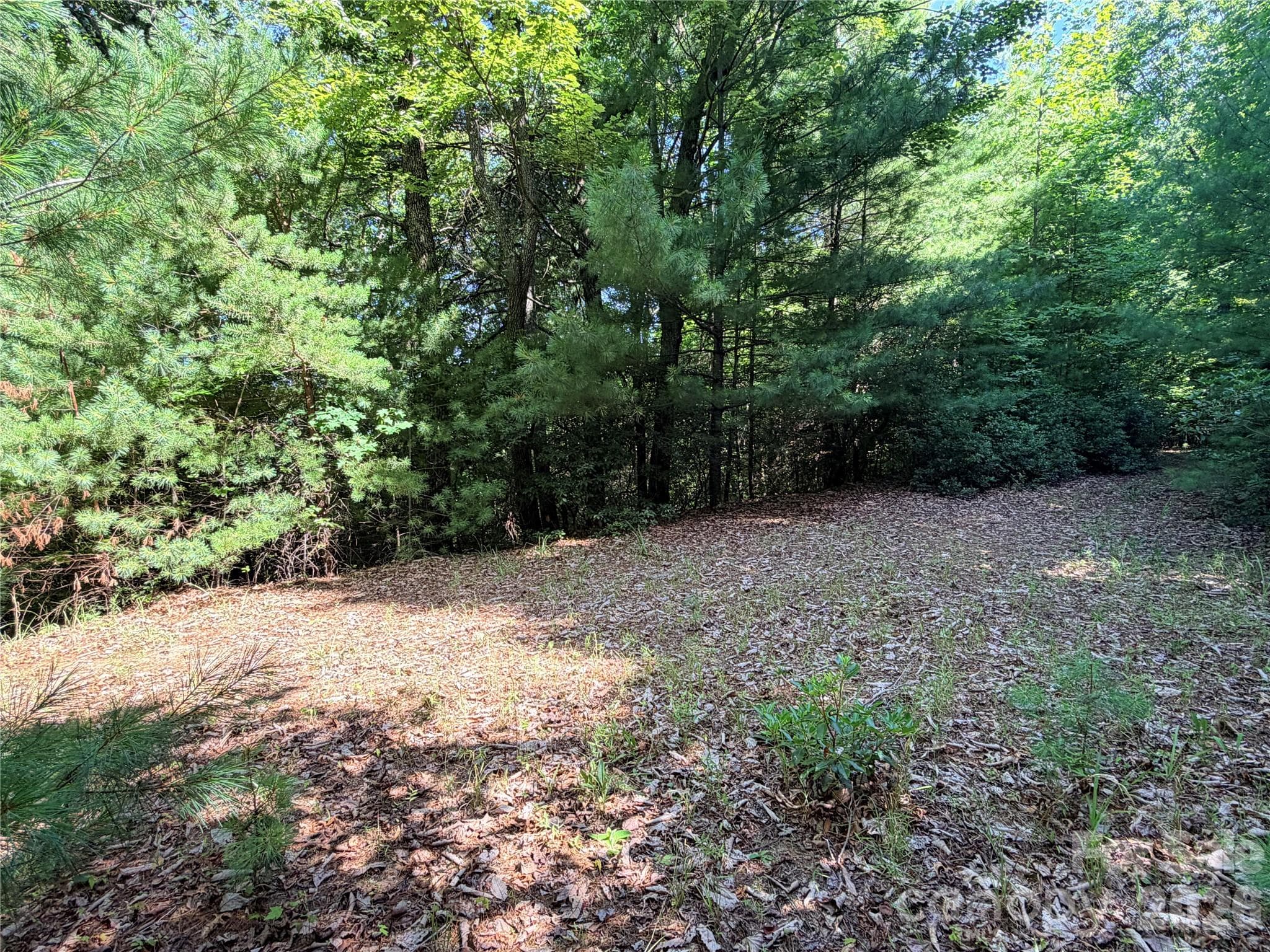 Lot at TBD Blue Rock Road, Purlear, photo 8 of 47
