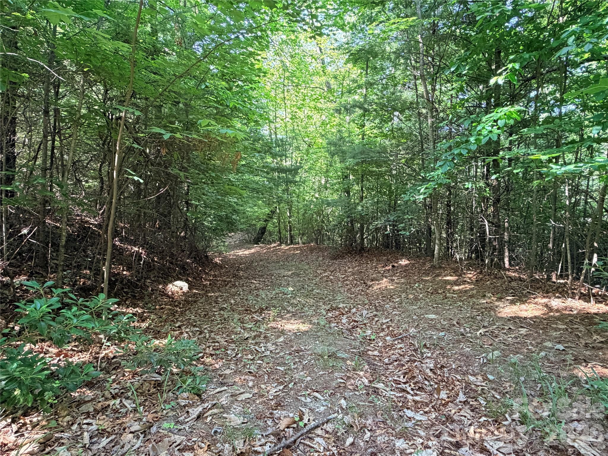 Lot at TBD Blue Rock Road, Purlear, photo 9 of 47