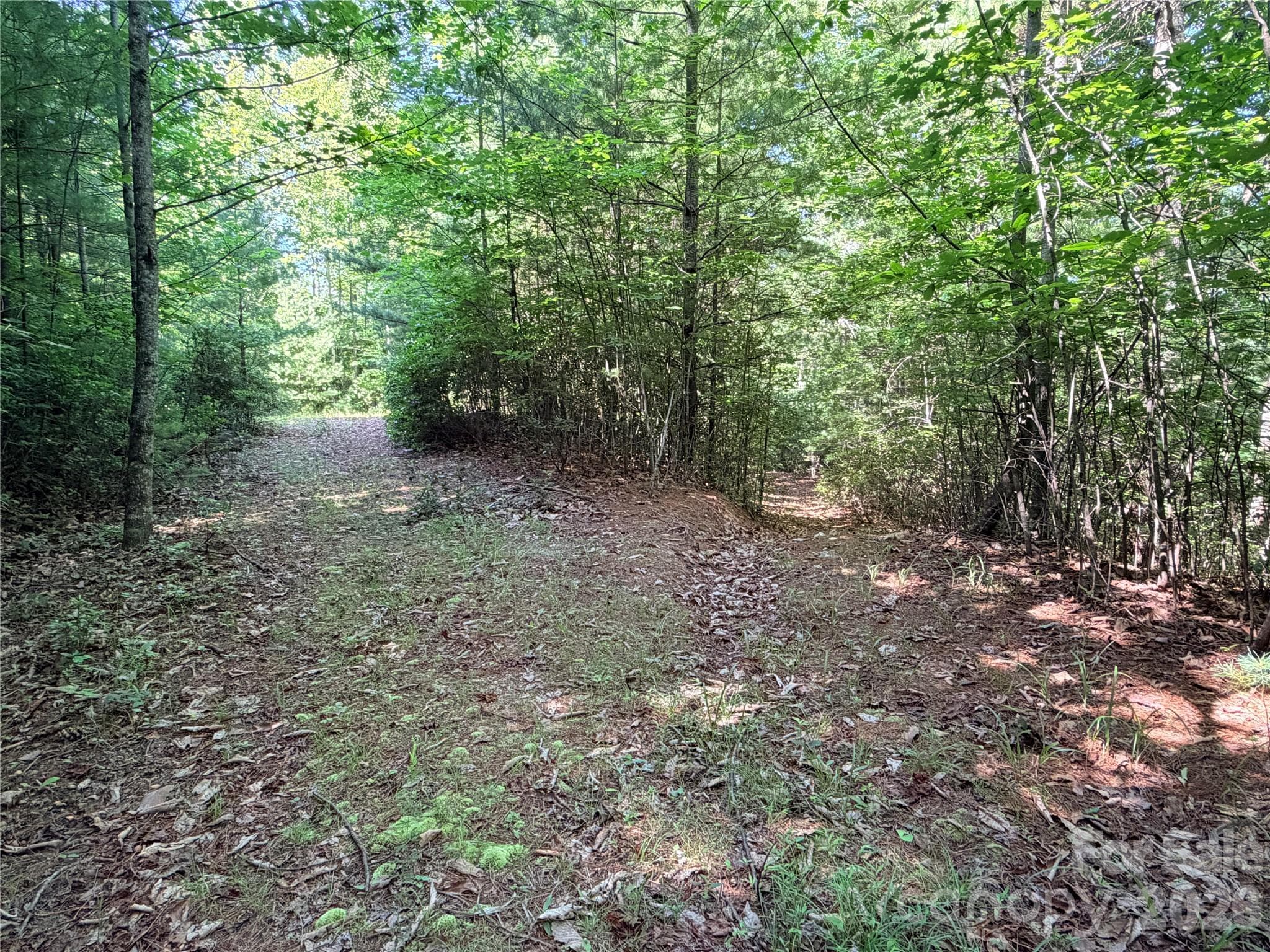Lot at TBD Blue Rock Road, Purlear, photo 10 of 47
