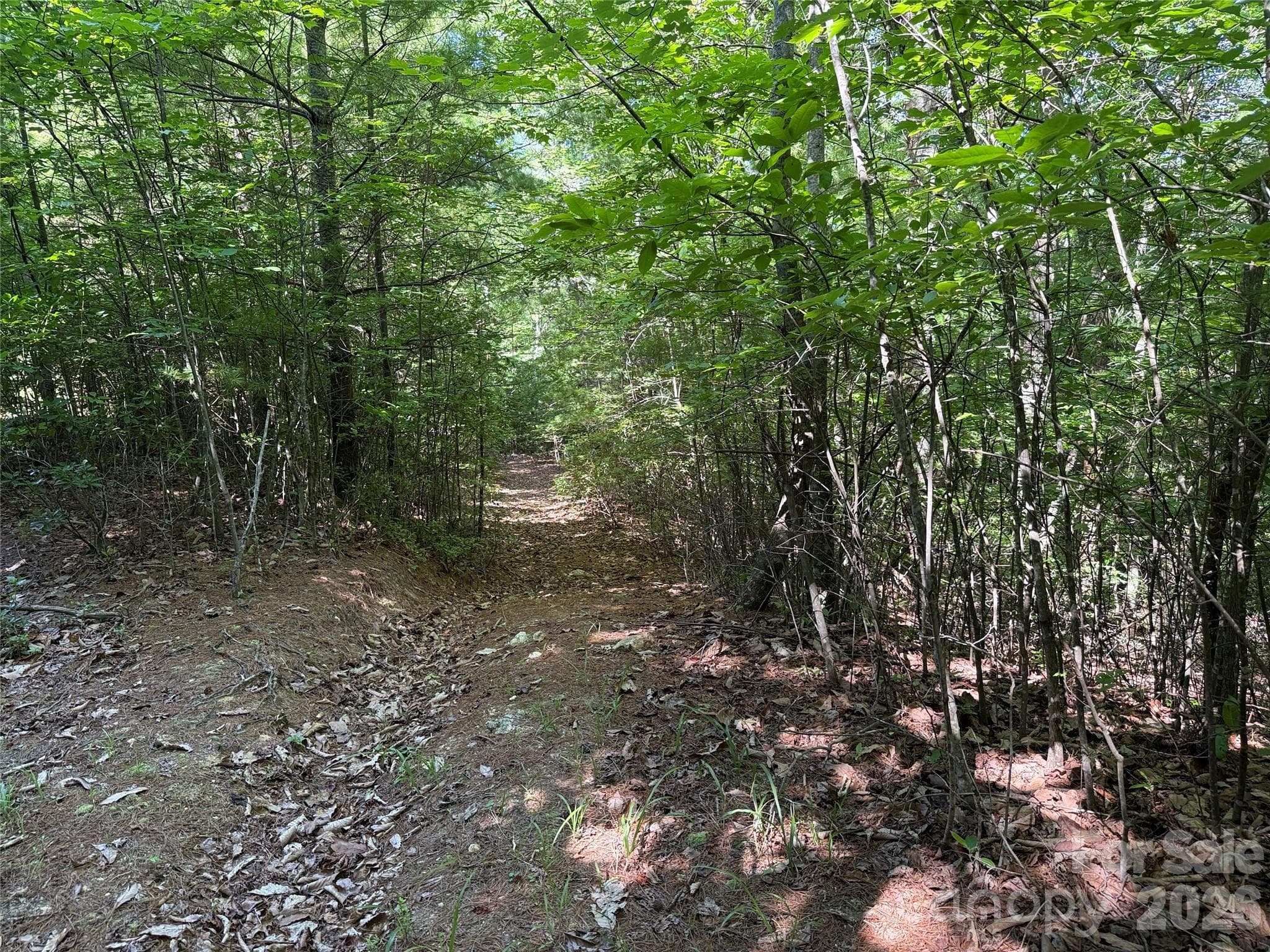 Lot at TBD Blue Rock Road, Purlear, photo 11 of 47