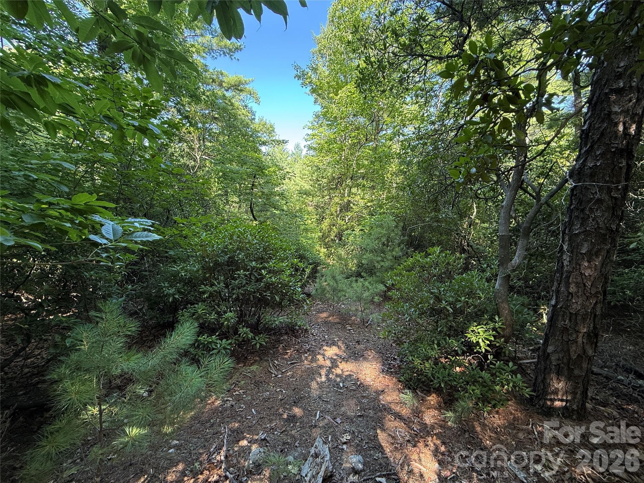 Lot at TBD Blue Rock Road, Purlear, photo 15 of 47