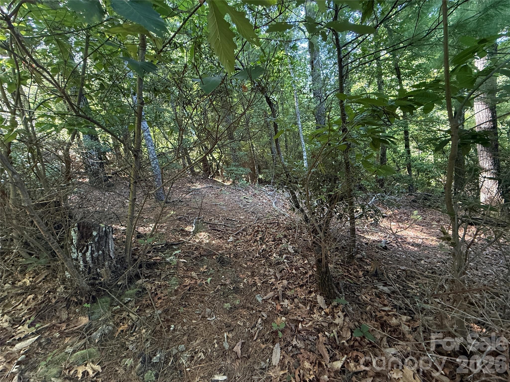 Lot at TBD Blue Rock Road, Purlear, photo 16 of 47