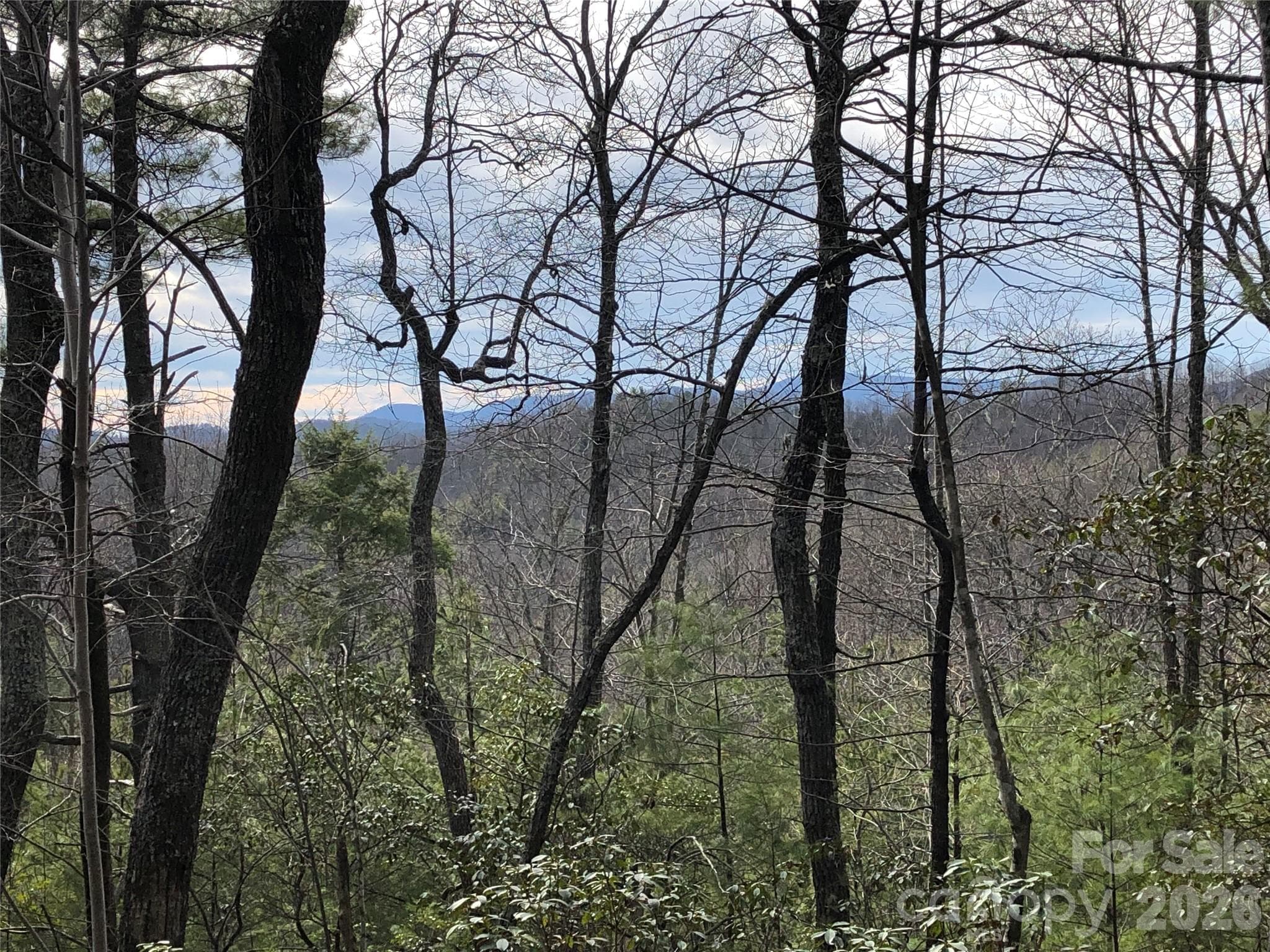 Winter View from Lot 172B - TBD Blue Rock Road, Purlear