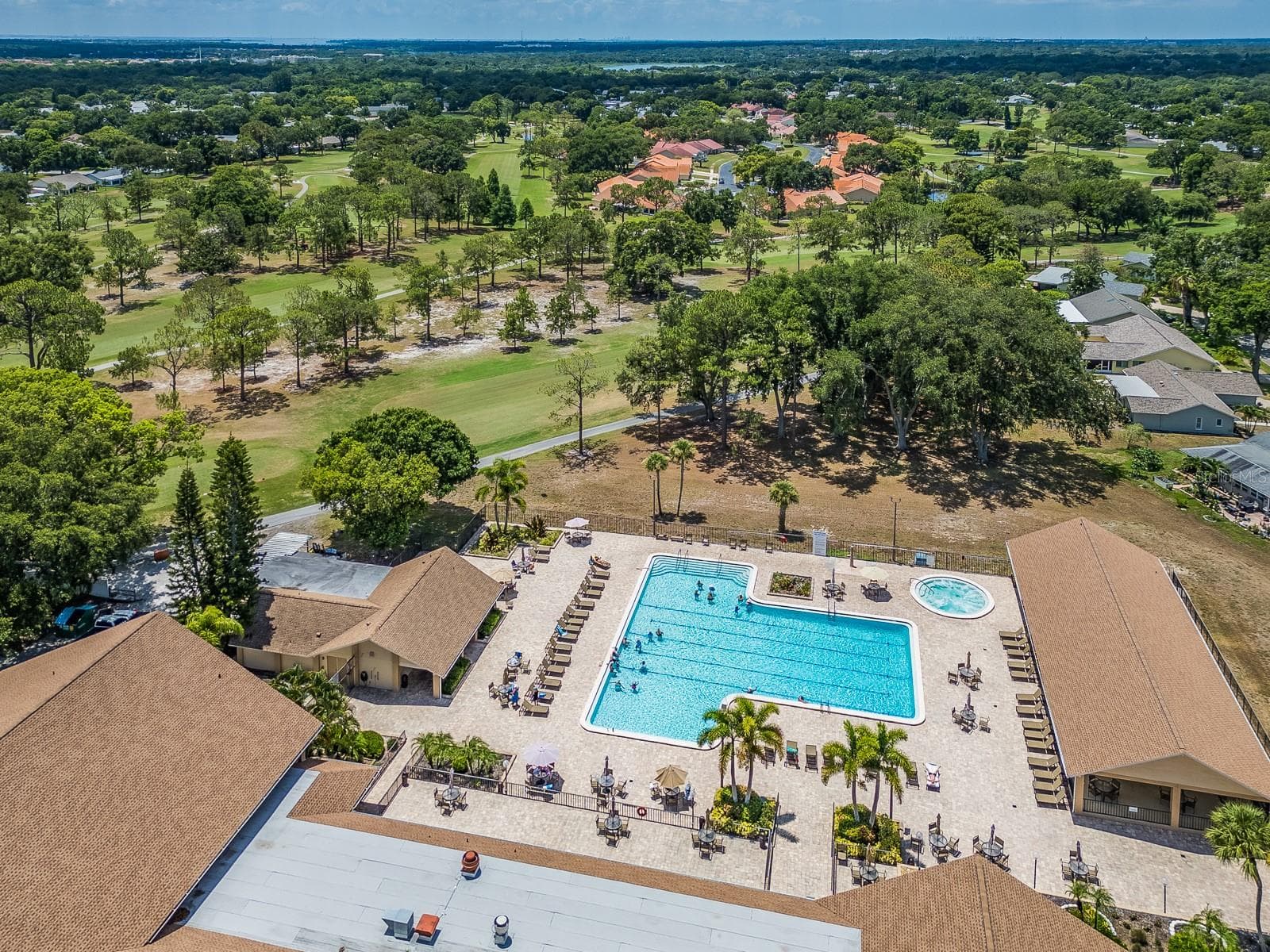Main Pool - 1009 QUEEN ANNE DR #B, PALM HARBOR