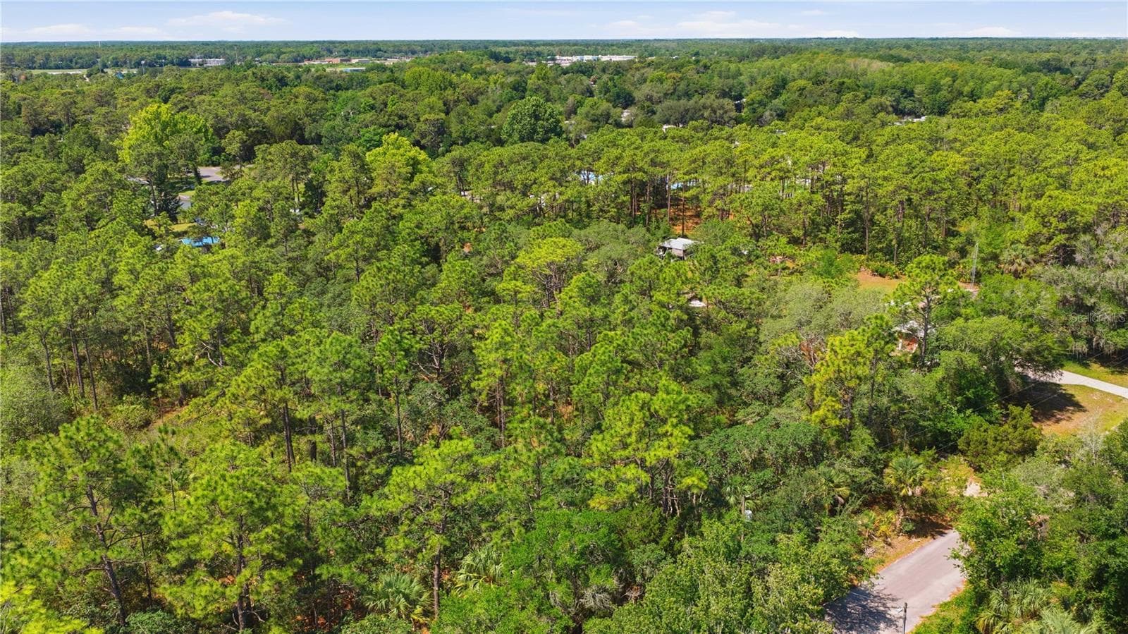 Land at 8266 W ANNA GAIL LN, CRYSTAL RIVER, photo 2 of 8