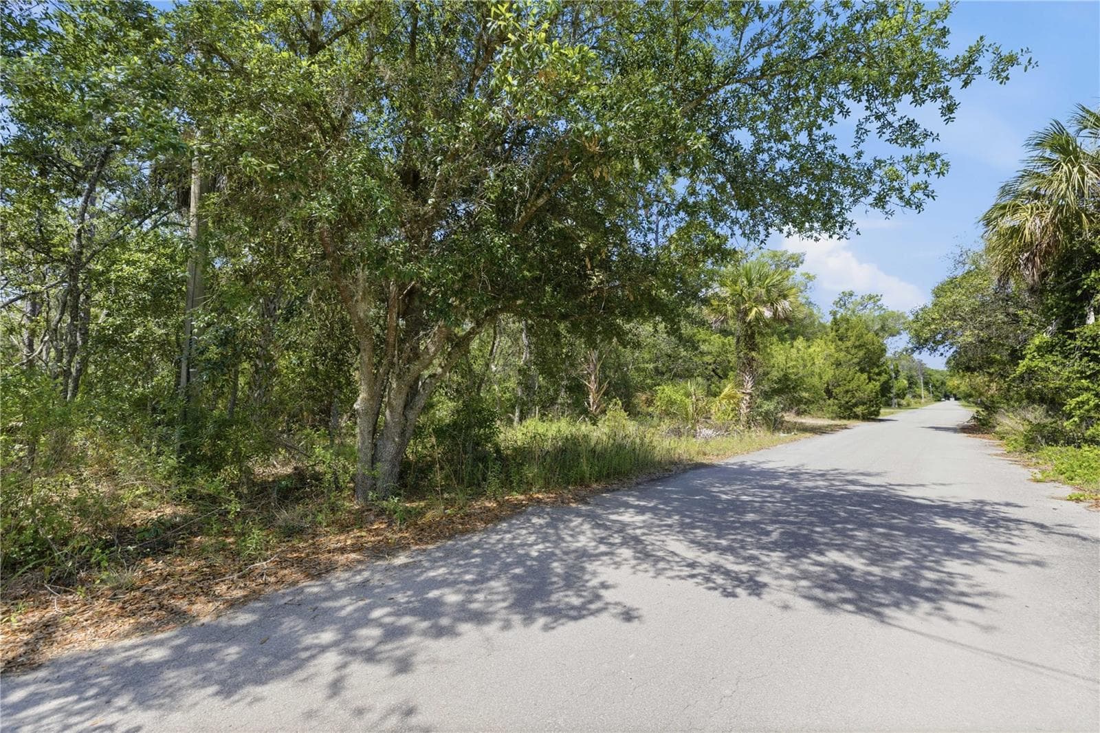 Land at 8266 W ANNA GAIL LN, CRYSTAL RIVER, photo 5 of 8