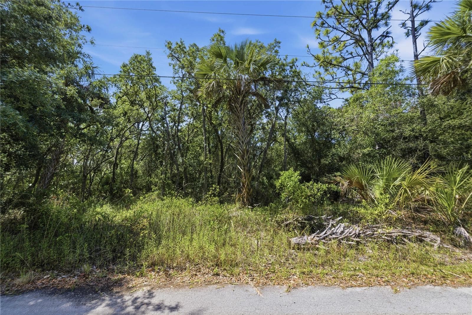 Land at 8266 W ANNA GAIL LN, CRYSTAL RIVER, photo 6 of 8