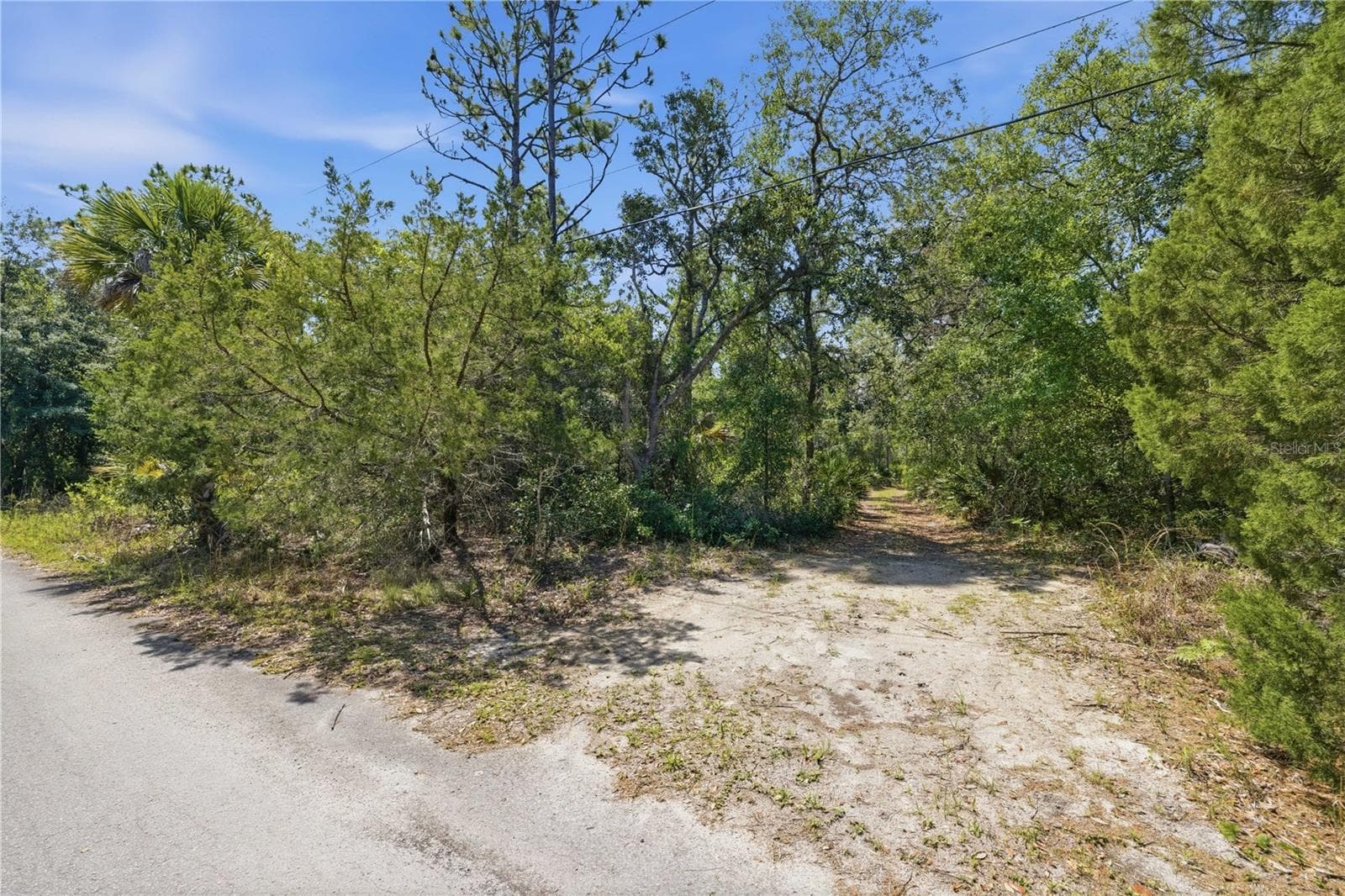 Land at 8266 W ANNA GAIL LN, CRYSTAL RIVER, photo 7 of 8