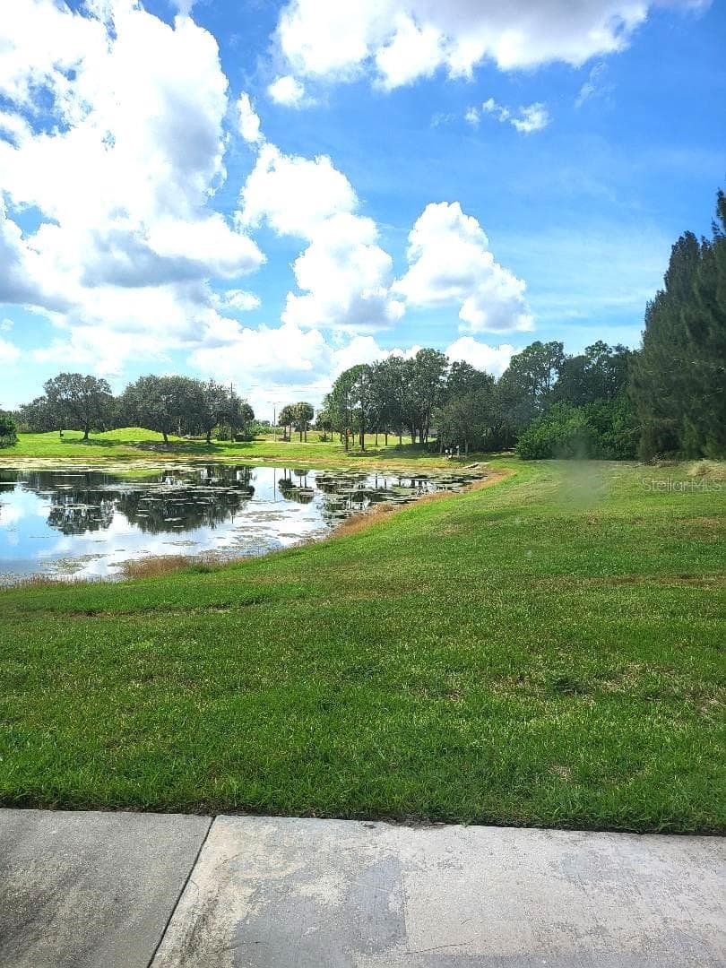 pond view - 424 LAKE POINT CT #5A, SUN CITY CENTER