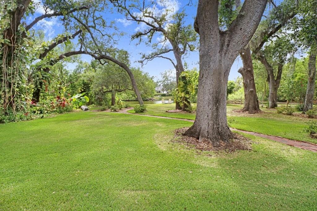 Lots of shaded backyard space, great for outdoor entertaining. - 1976 DUNLOE CIR, DUNEDIN