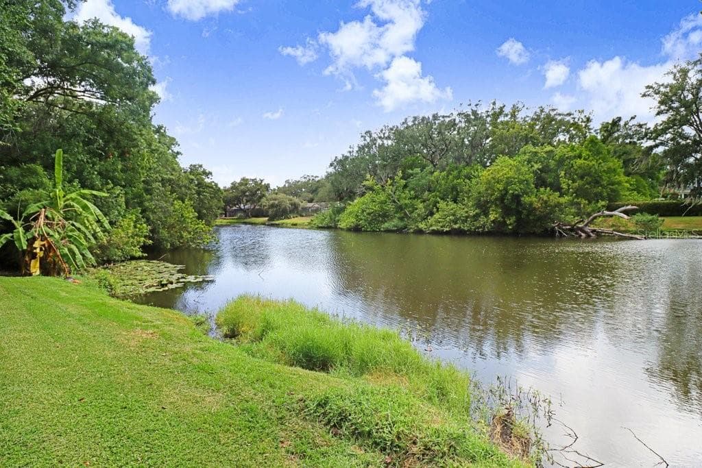 View of spring fed lake expanding out through neighborhood, home for otters, owls and herons. - 1976 DUNLOE CIR, DUNEDIN