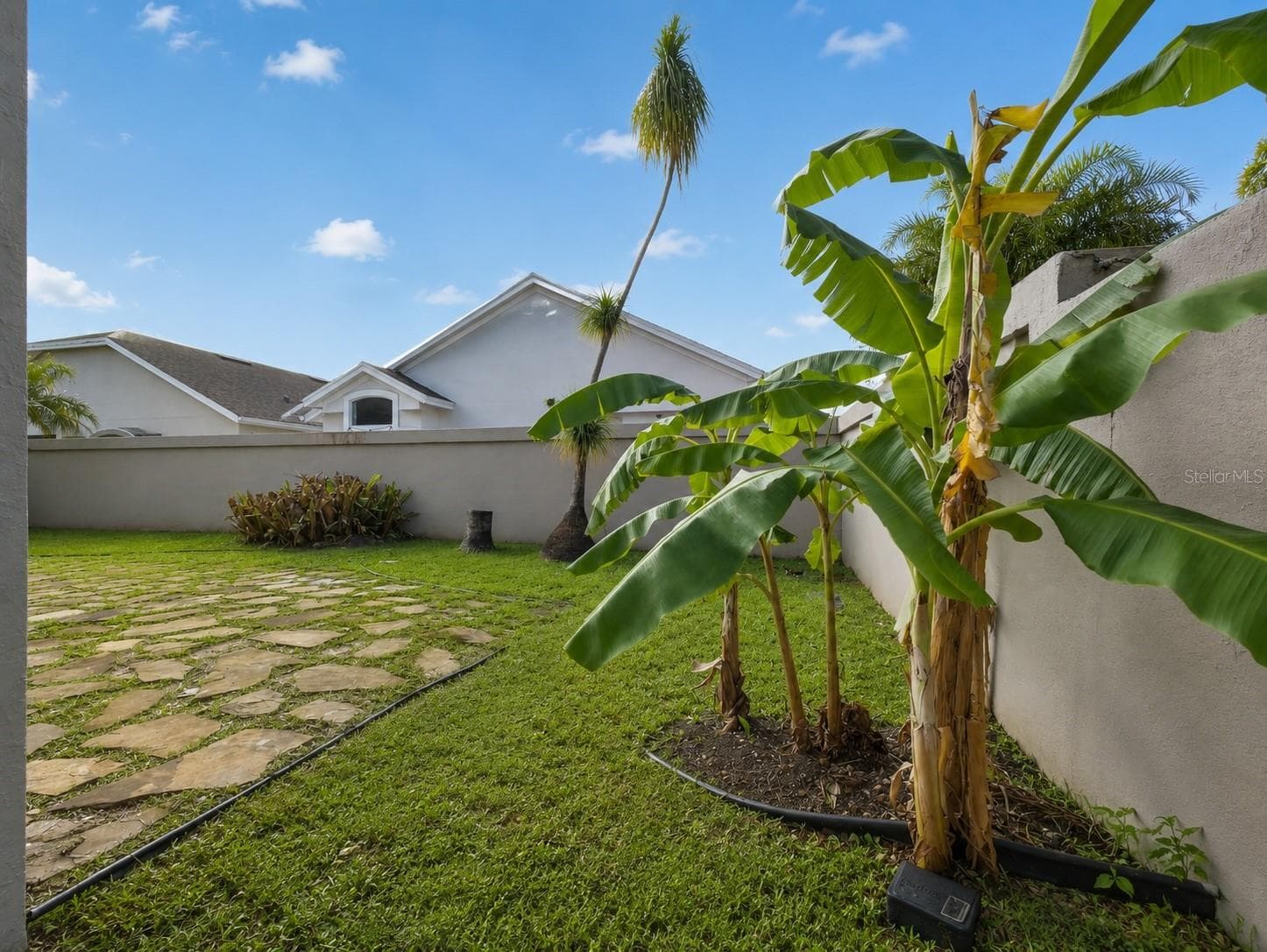 Enhanced Grass - 14435 WINDCHIME LN, ORLANDO