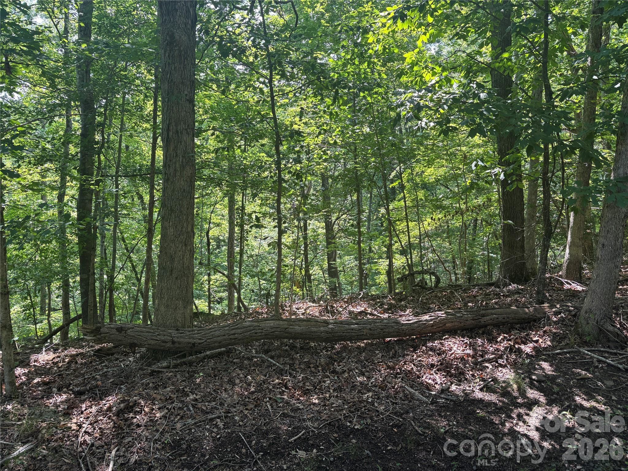 Lot at Lake Lure, photo 2 of 14