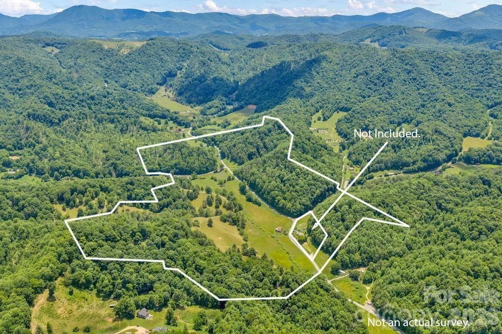 Acreage at 150 Fred Price Road, Mountain City, photo 2 of 36