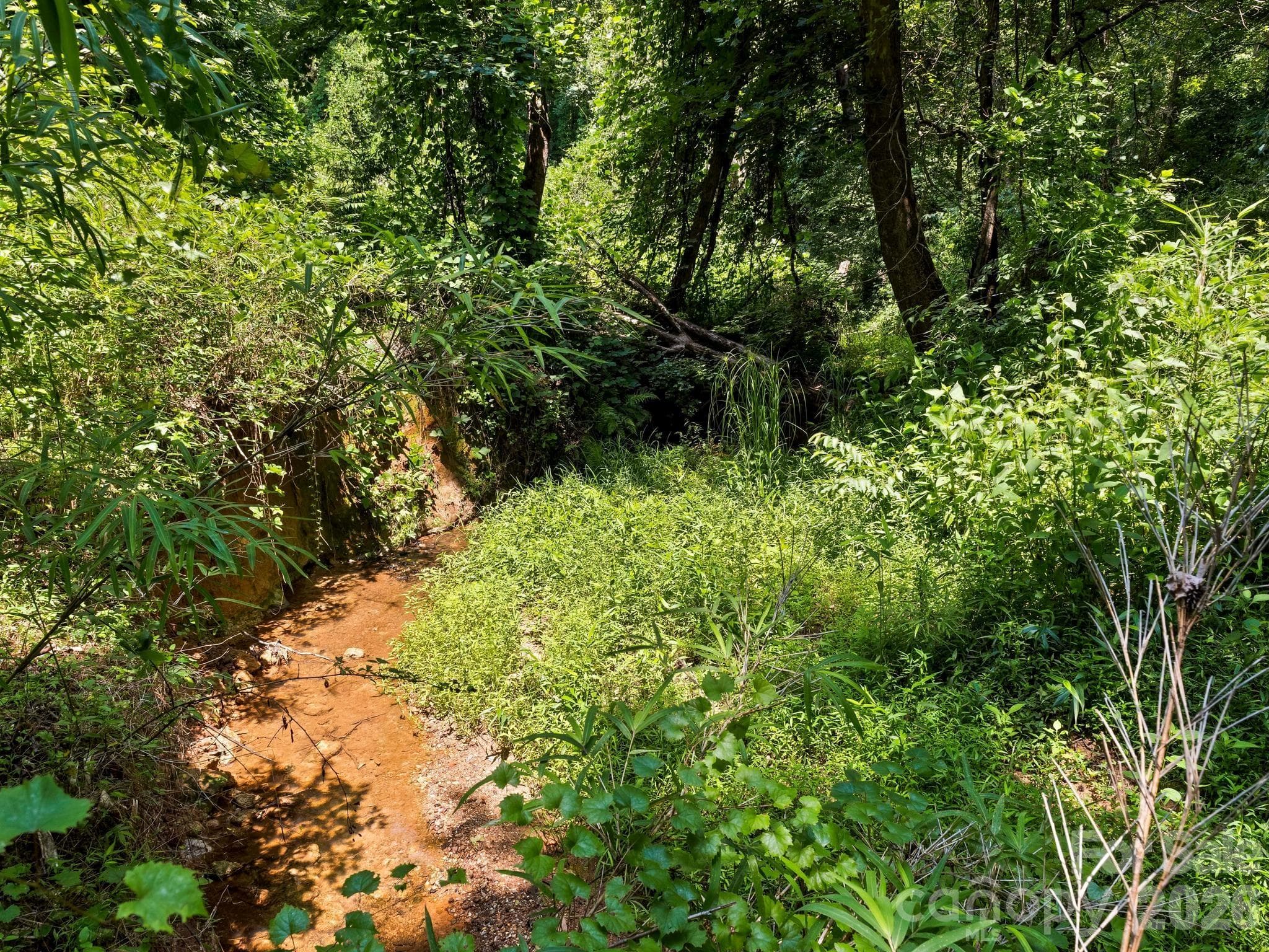 The creek at the back of the property - 1541 Sandy Springs Road, Rutherfordton