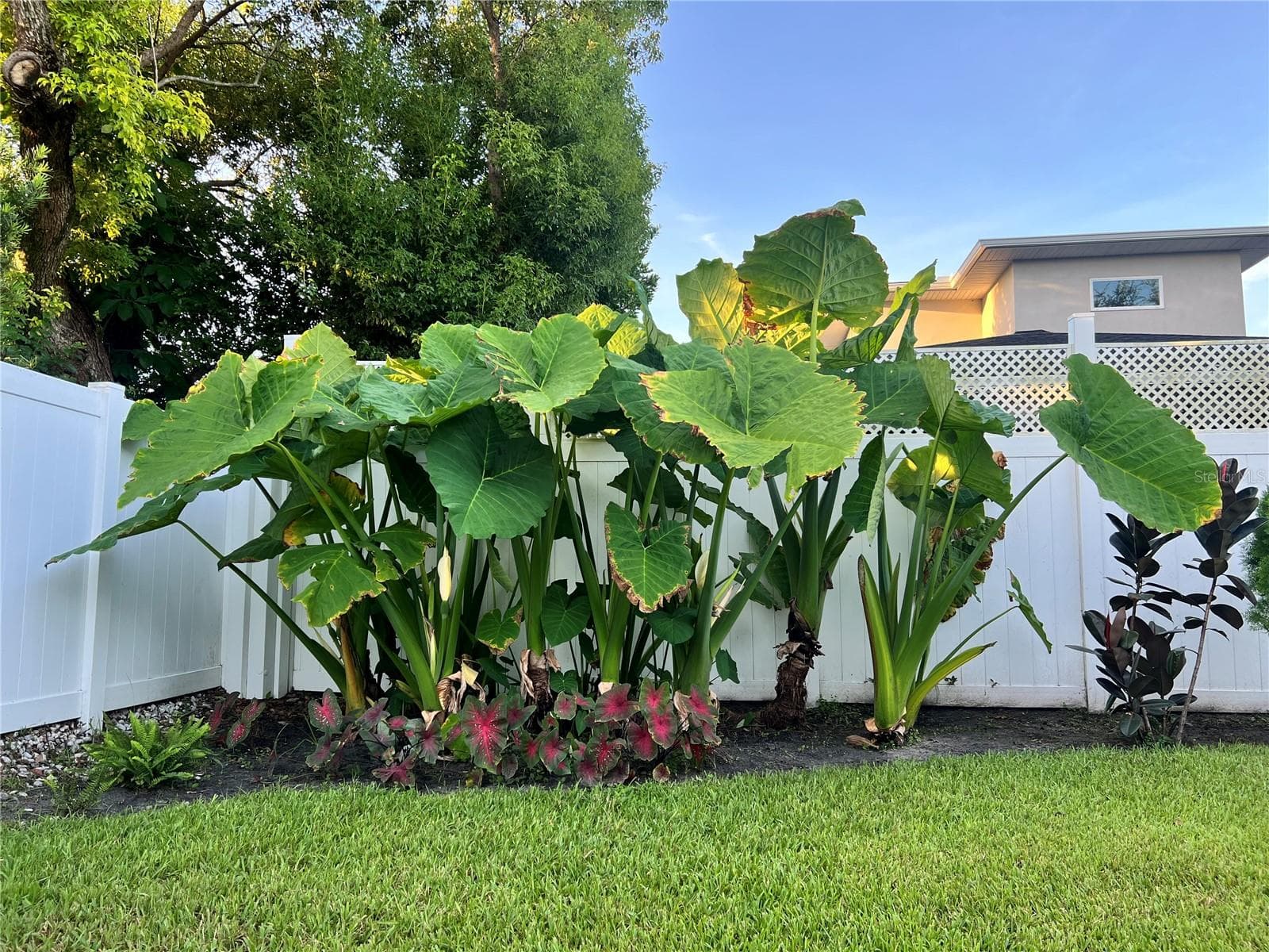 Single Family Residence at 840 W CANTON AVE, WINTER PARK, photo 37 of 63