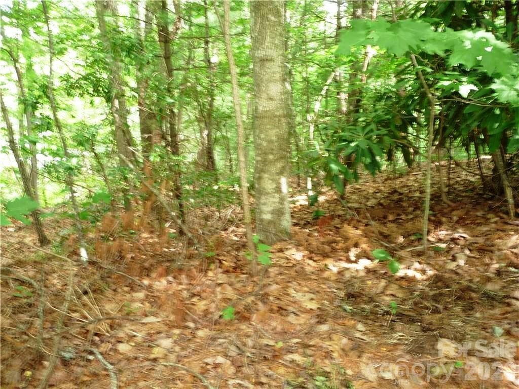 Lot at 360 Kenmure Drive, Flat Rock, photo 2 of 17