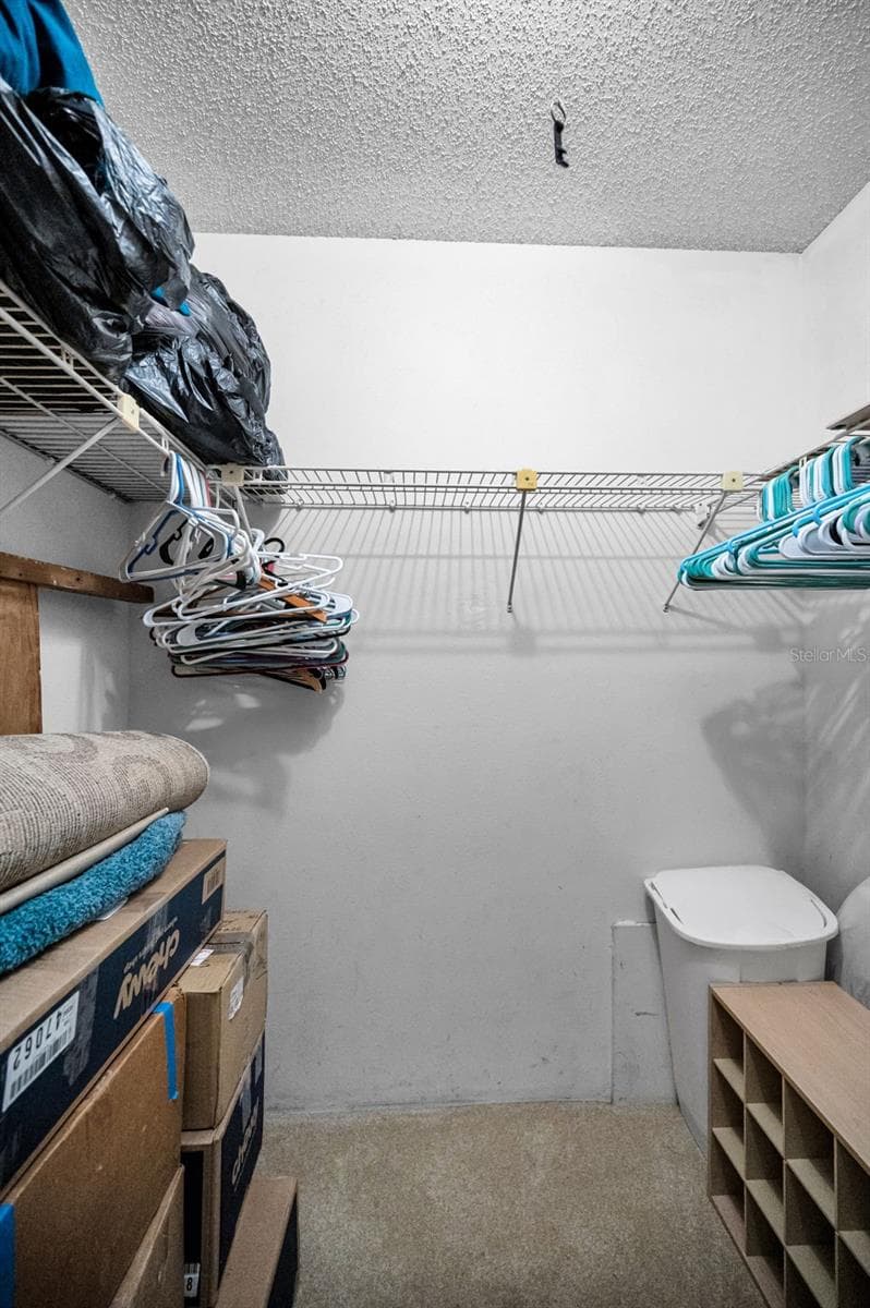 Large walk in closet - 3097 MISSION GROVE DR, PALM HARBOR