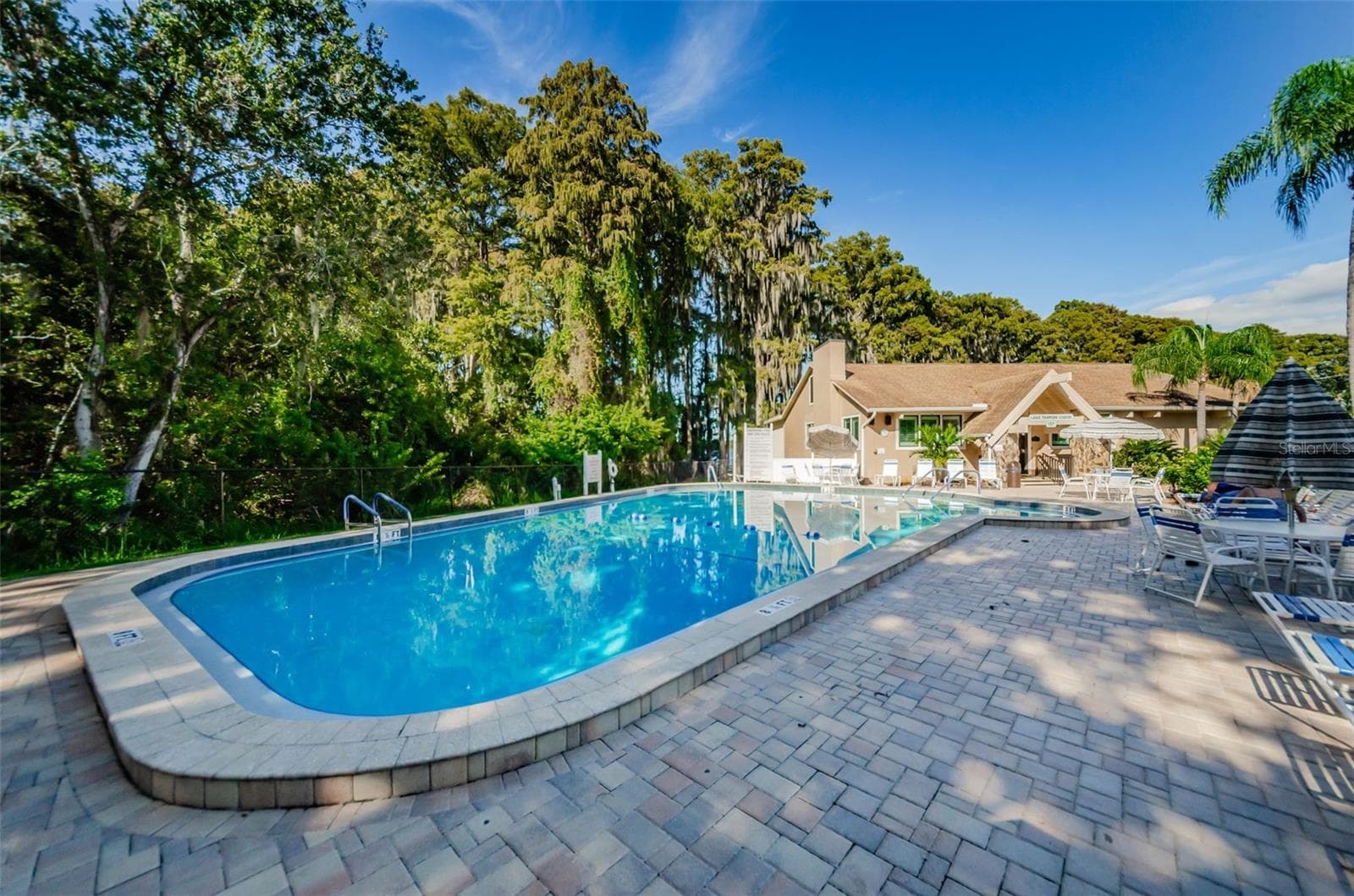 The Lodge on Lake Tarpon Pool - 3097 MISSION GROVE DR, PALM HARBOR