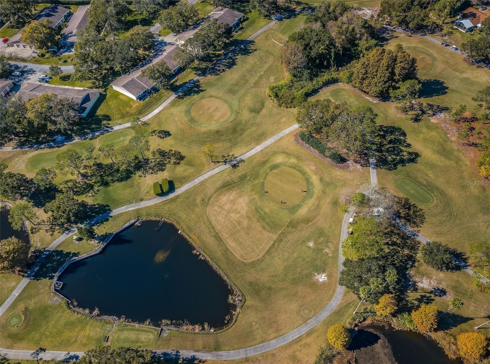 Golf Anyone? - 3097 MISSION GROVE DR, PALM HARBOR