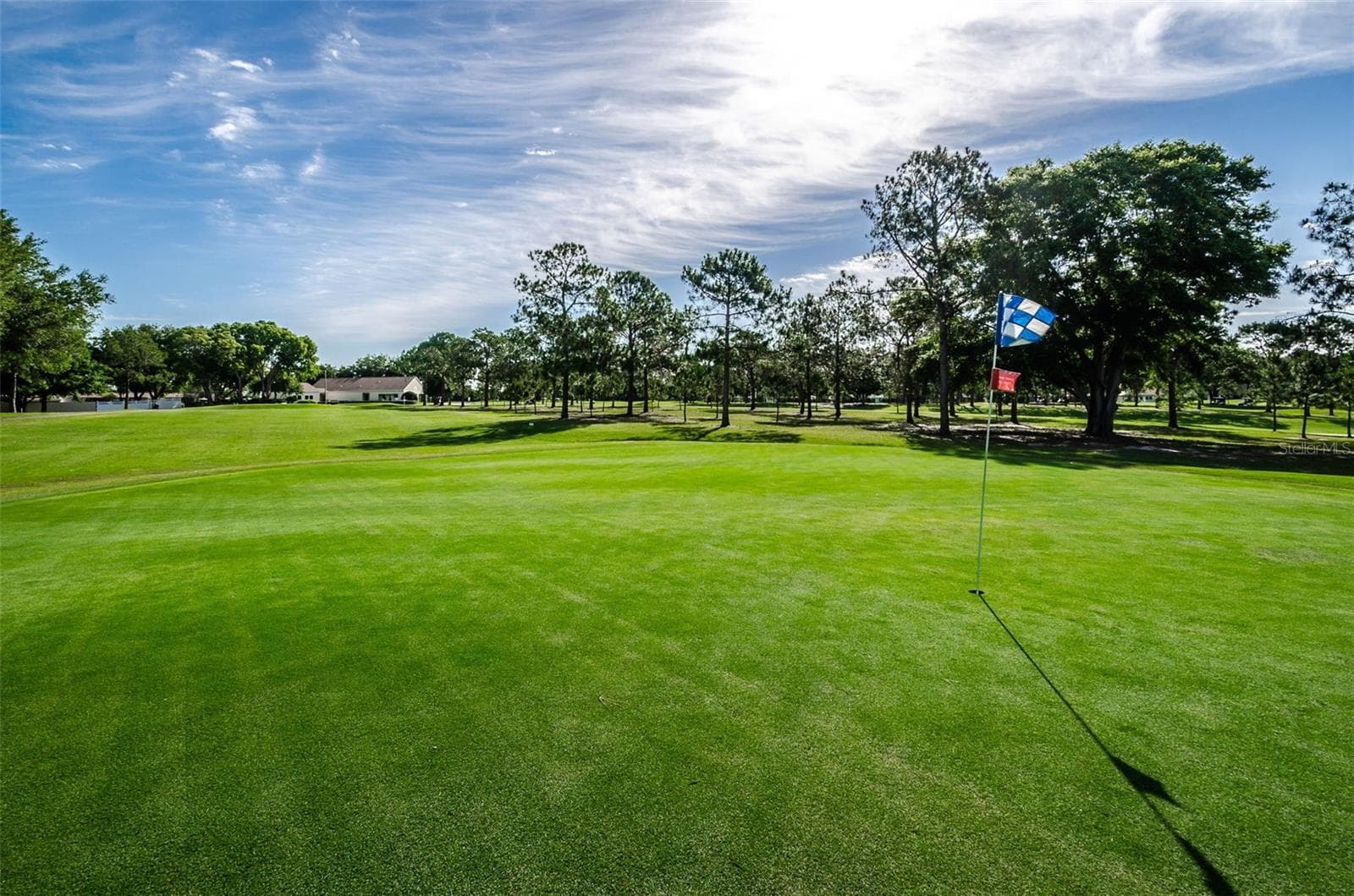 One of 3 Executive Golf Courses - 3097 MISSION GROVE DR, PALM HARBOR