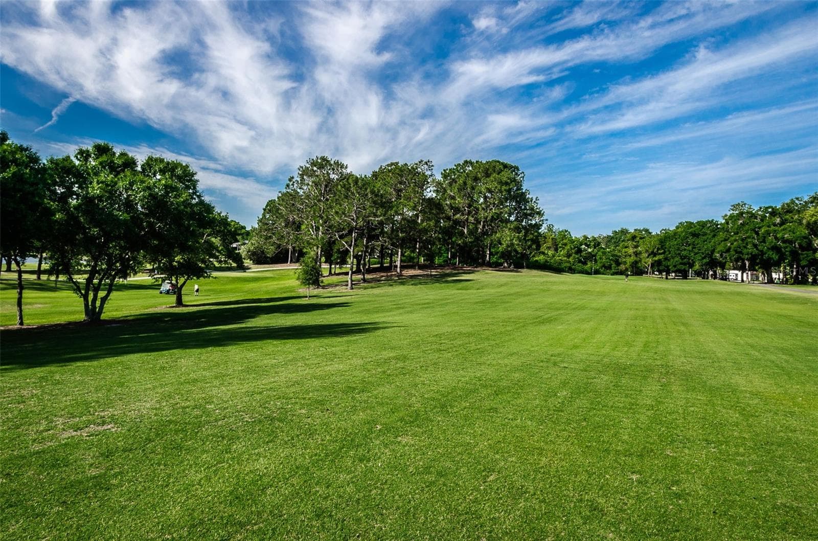 One of 3 Executive Golf Courses - 3097 MISSION GROVE DR, PALM HARBOR