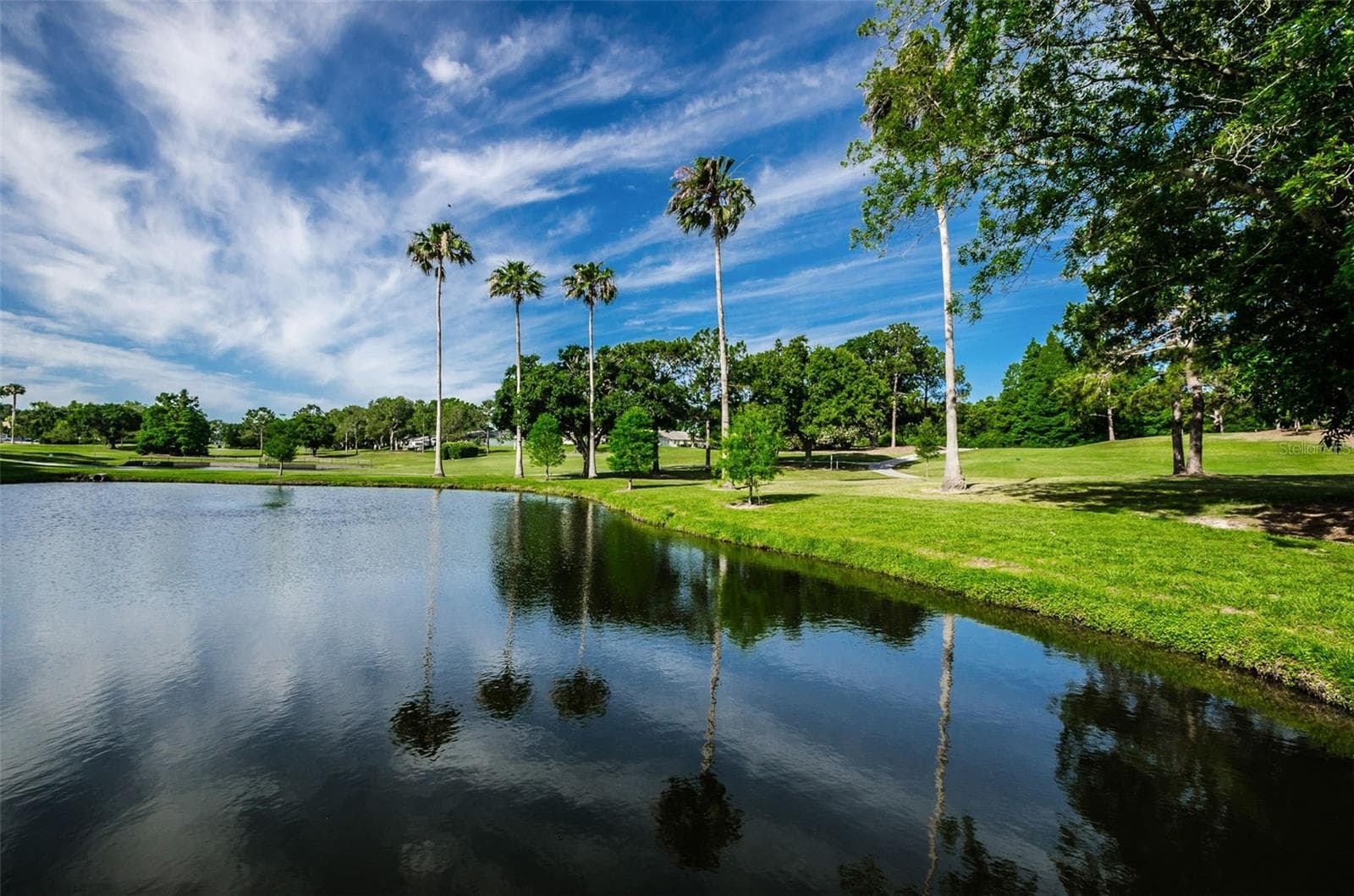 One of 3 Executive Golf Courses - 3097 MISSION GROVE DR, PALM HARBOR