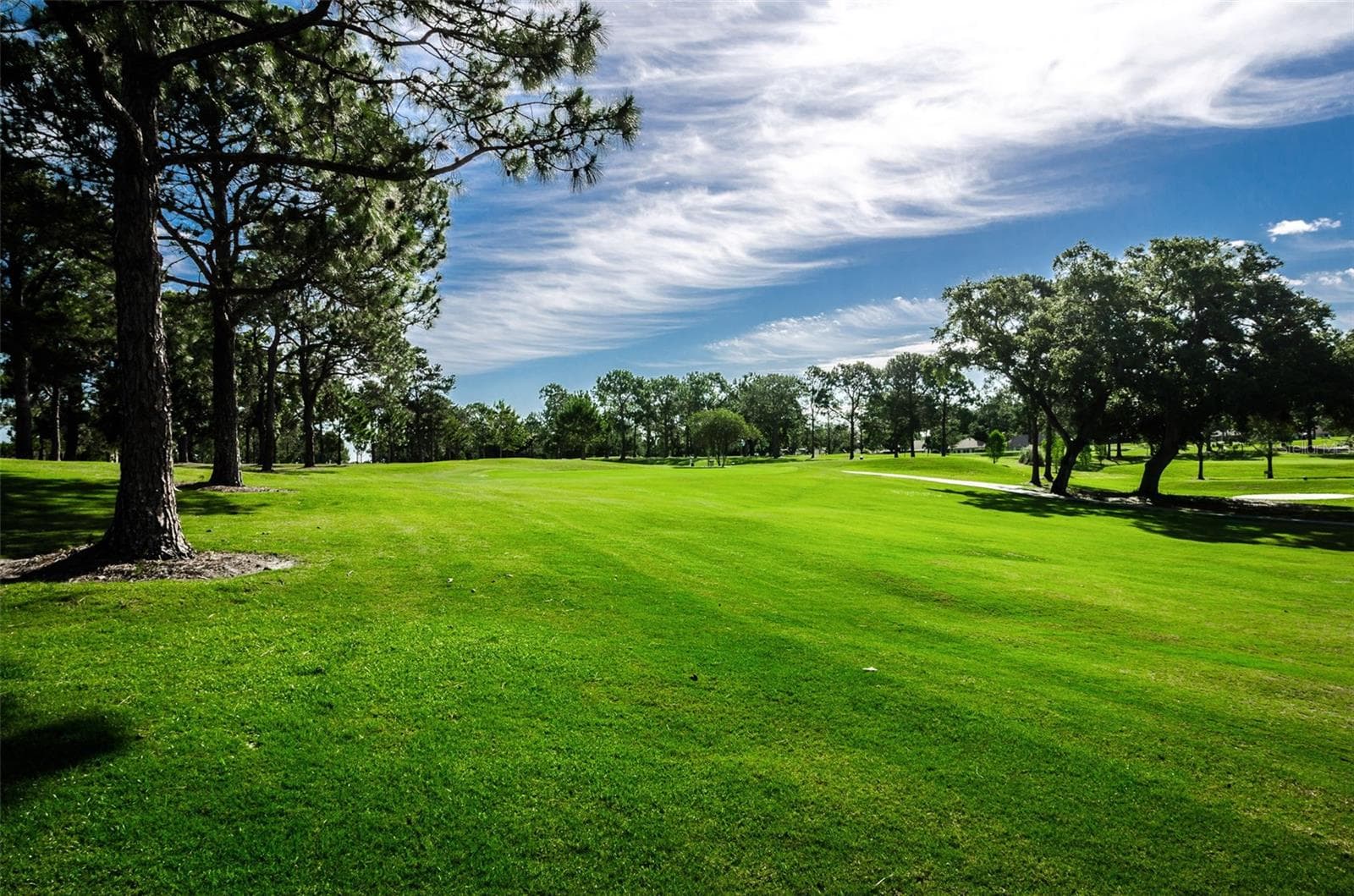 One of 3 Executive Golf Courses - 3097 MISSION GROVE DR, PALM HARBOR