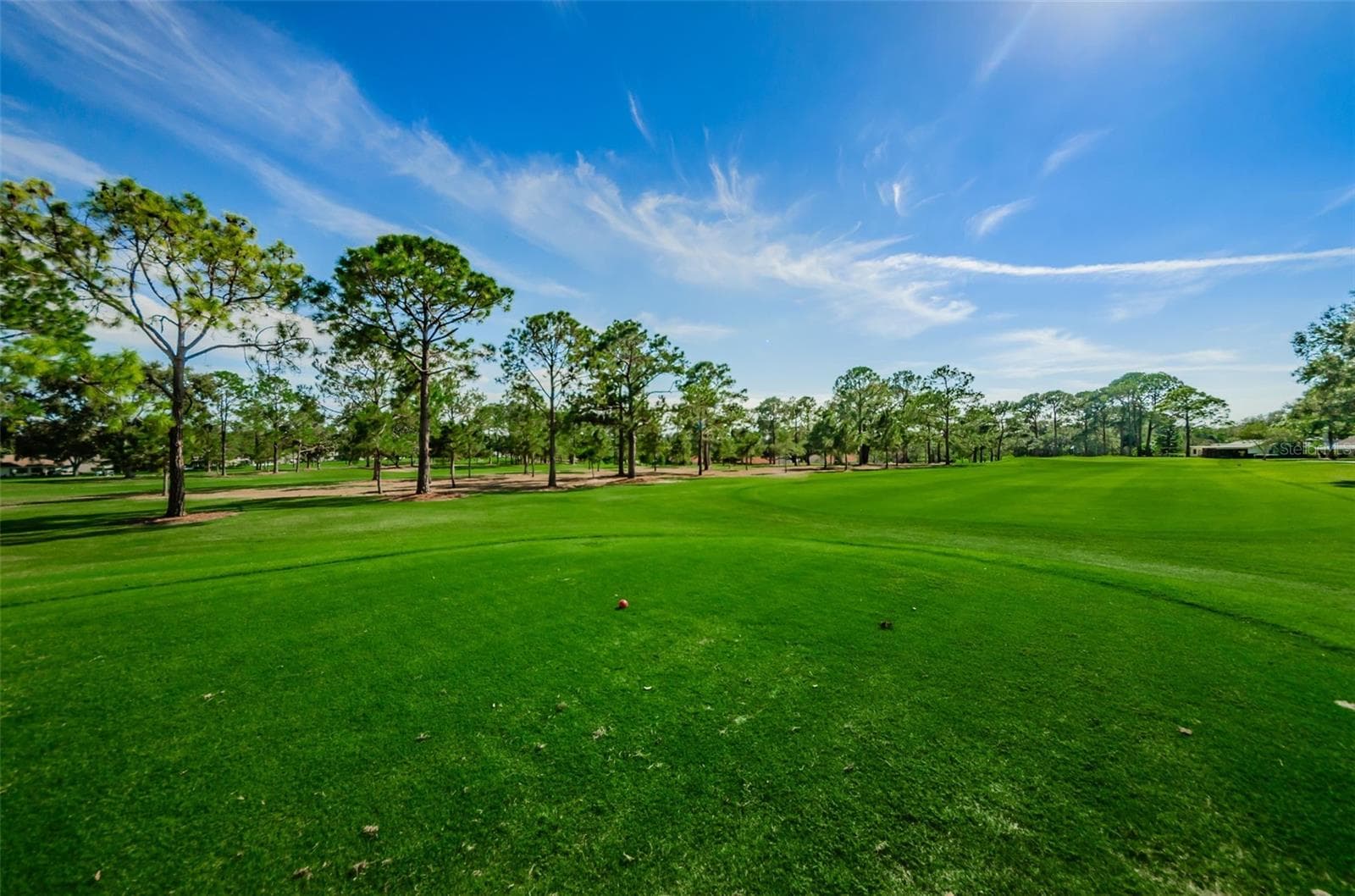 One of 3 Executive Golf Courses - 3097 MISSION GROVE DR, PALM HARBOR