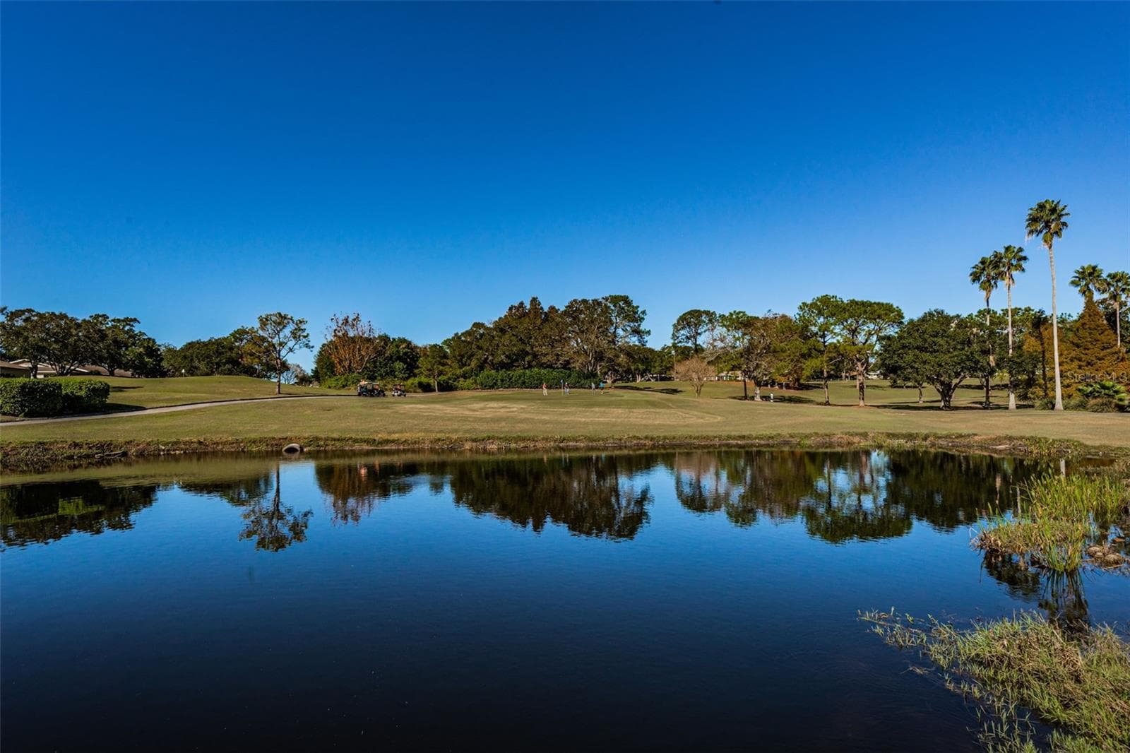 One of 3 Executive Golf Courses - 3097 MISSION GROVE DR, PALM HARBOR