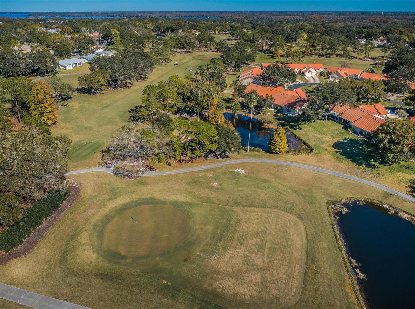 One of 3 Executive Golf Courses - 3097 MISSION GROVE DR, PALM HARBOR