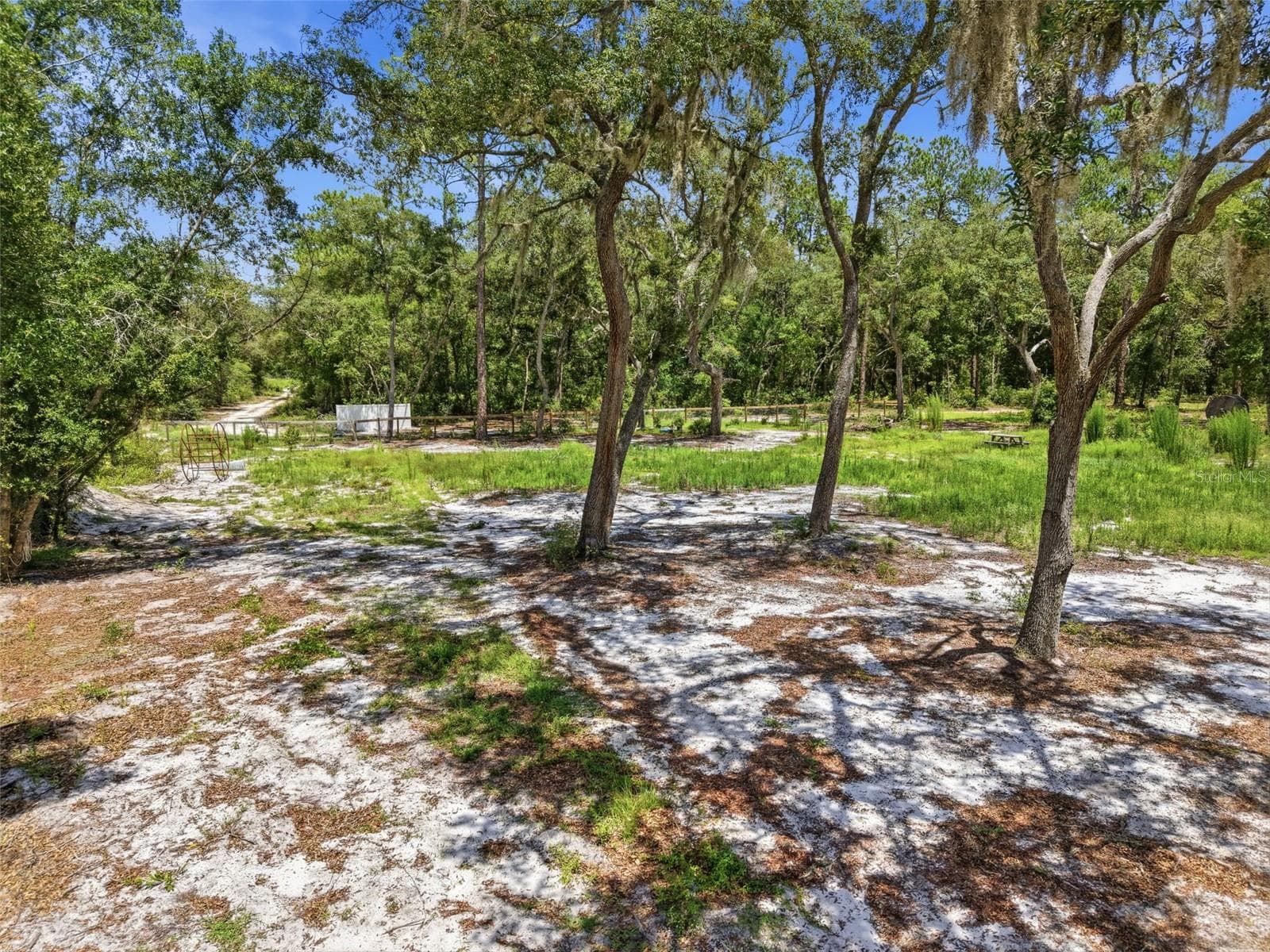 Land at 6900 NE 195TH ST, CITRA, photo 12 of 14