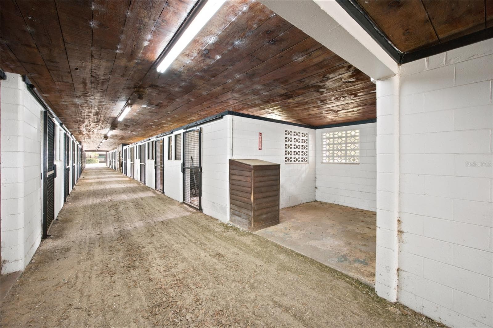 Farm at 3825 NW 160TH ST, REDDICK, photo 13 of 71