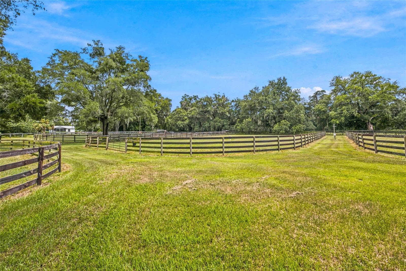 Farm at 3825 NW 160TH ST, REDDICK, photo 20 of 71