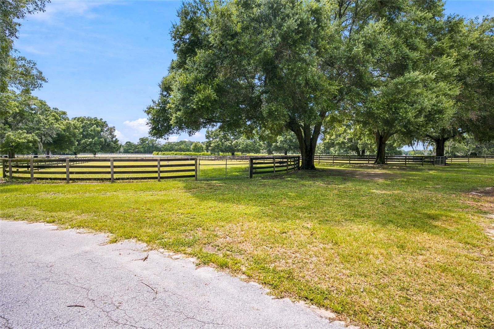 Farm at 3825 NW 160TH ST, REDDICK, photo 27 of 71