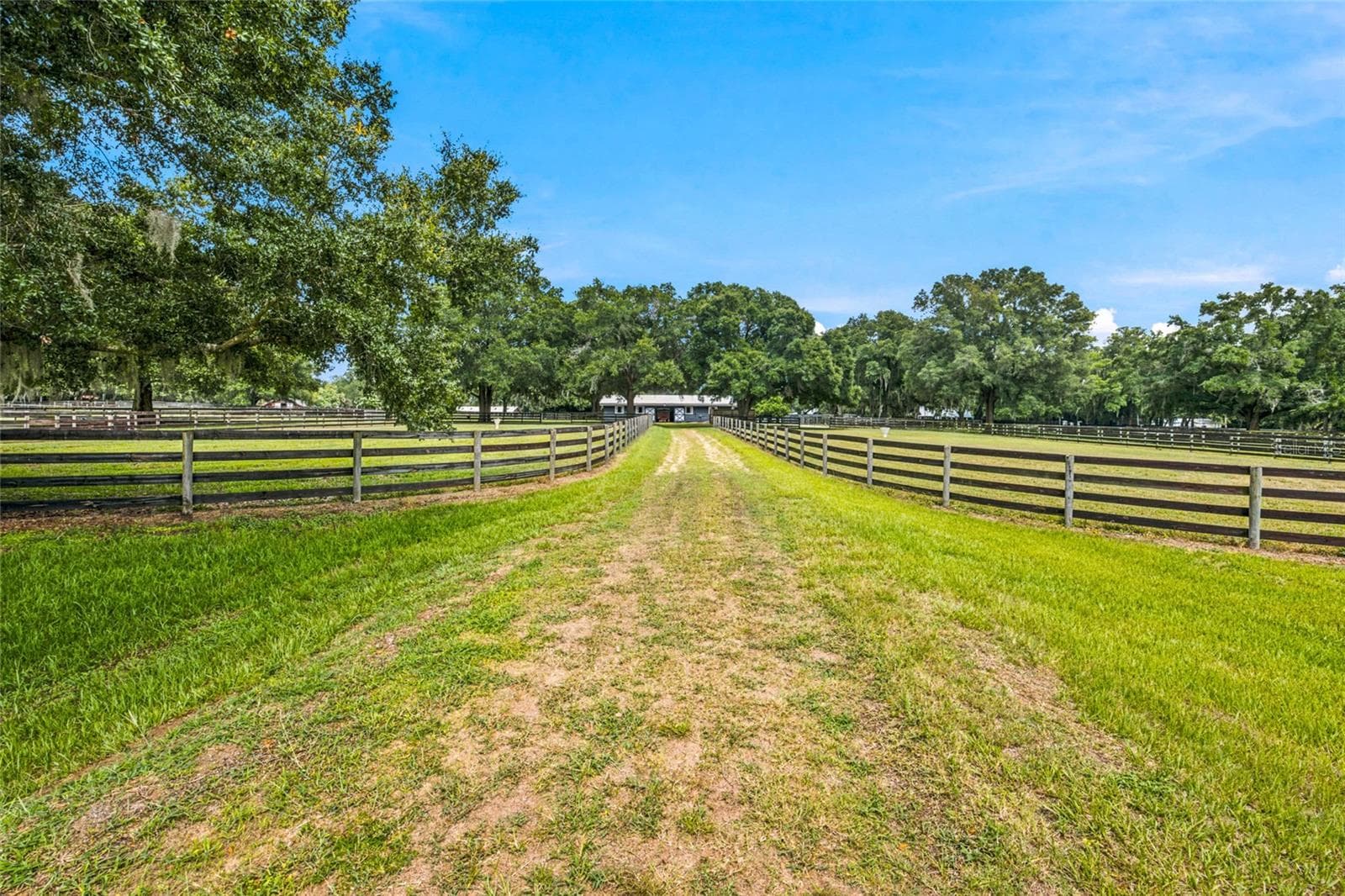Farm at 3825 NW 160TH ST, REDDICK, photo 29 of 71