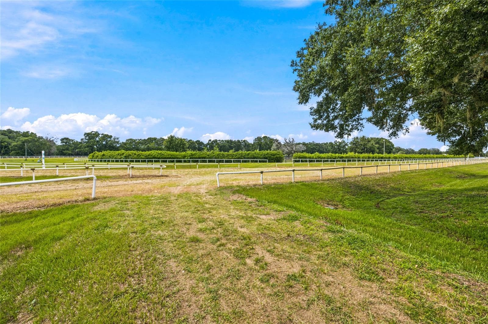 Farm at 3825 NW 160TH ST, REDDICK, photo 30 of 71