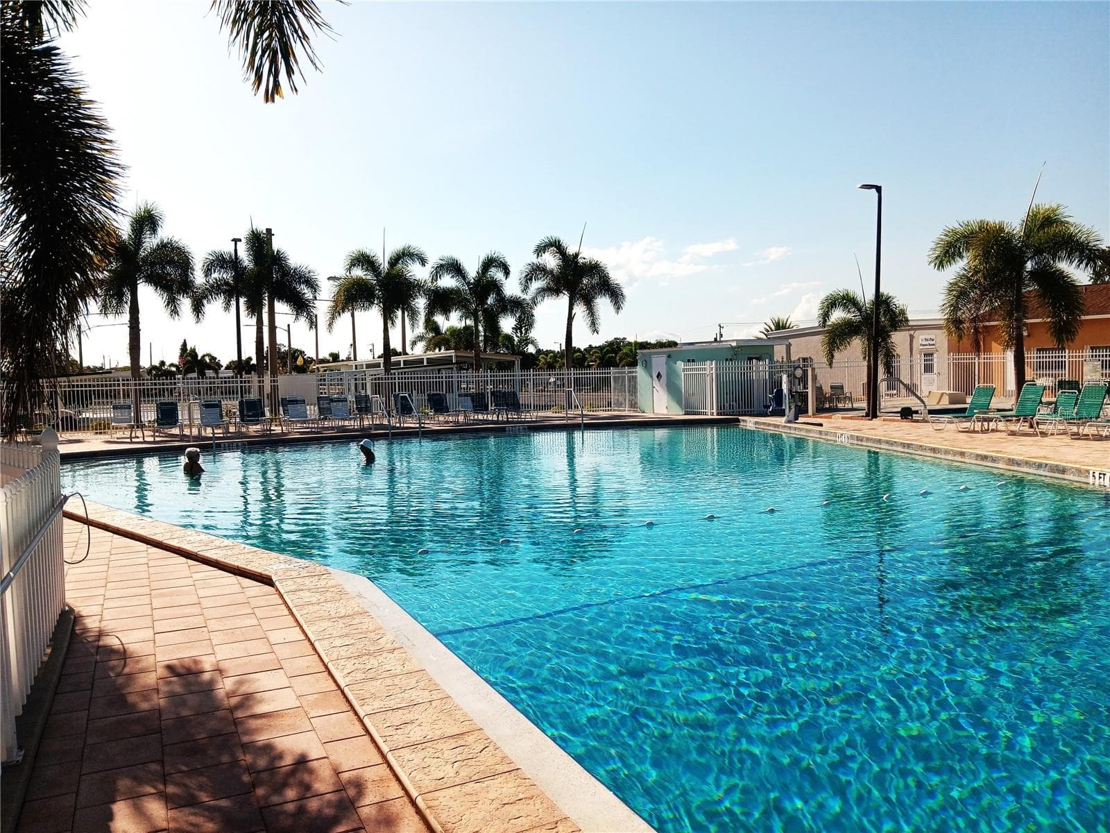 Huge pool. water cooled in summer, warmed in winter - 1781 OLYMPIA FIELDS ST, SARASOTA