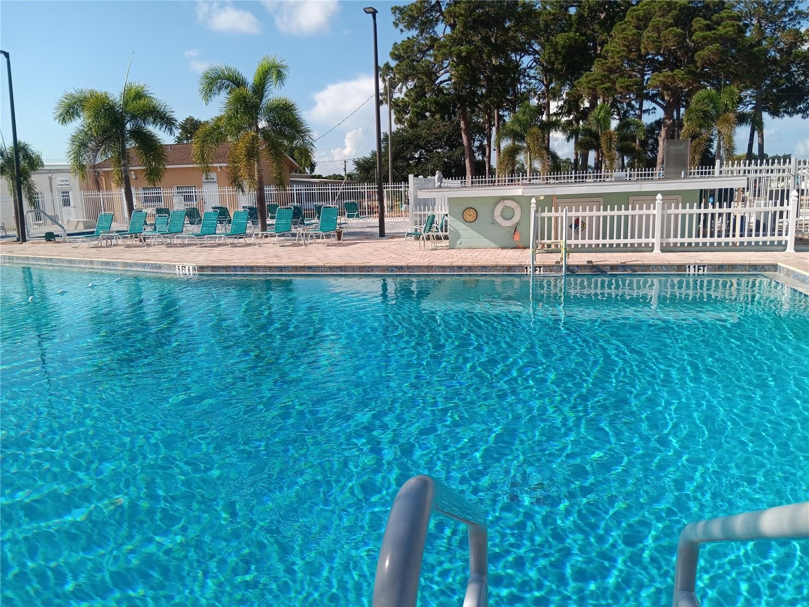Come on in. The water's fine ! ! ! - 1781 OLYMPIA FIELDS ST, SARASOTA
