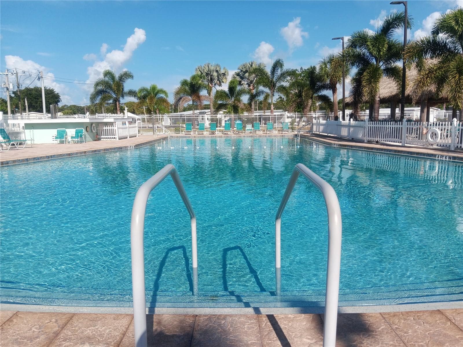 Beautiful pool for YOU. - 1781 OLYMPIA FIELDS ST, SARASOTA